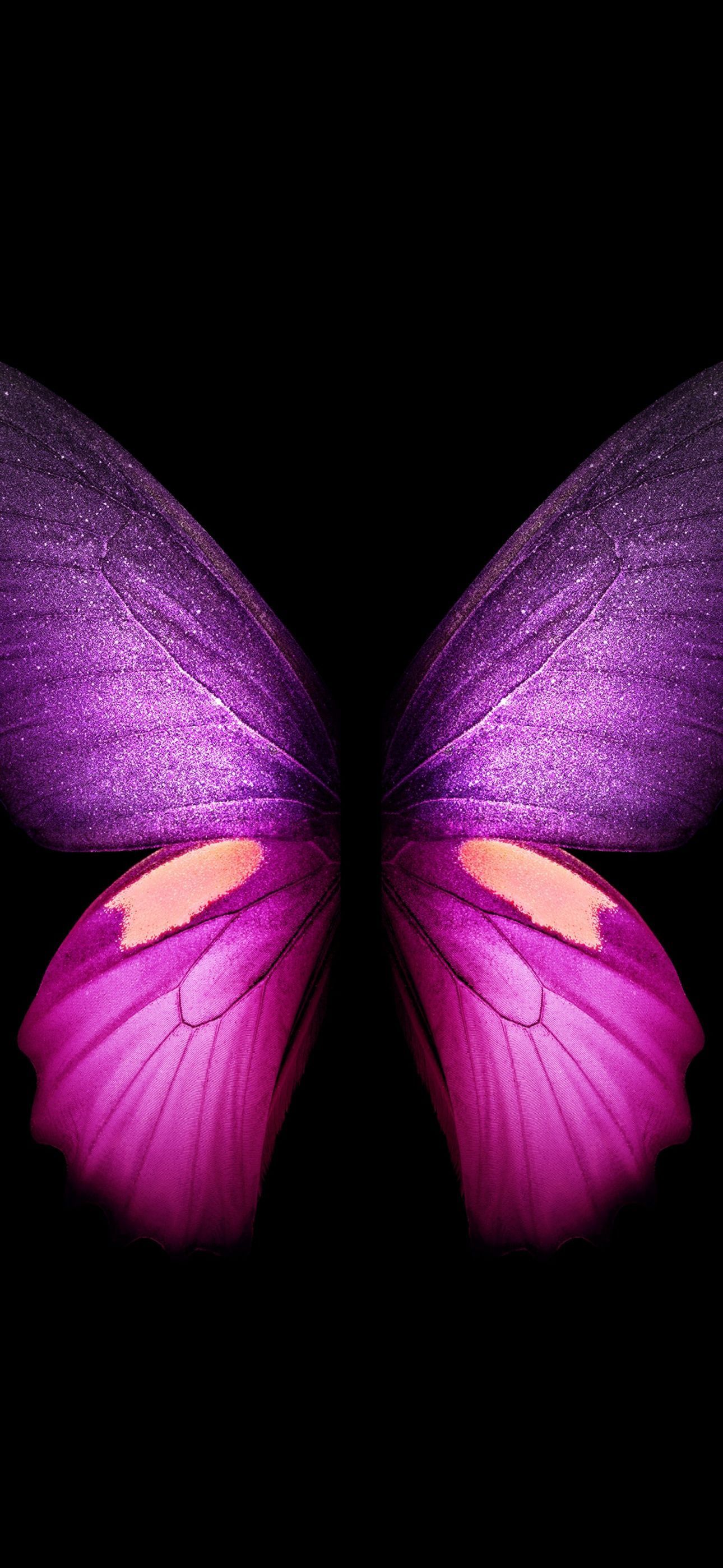 Samsung Galaxy Fold wallpaper with a pink butterfly on a black background - Wings
