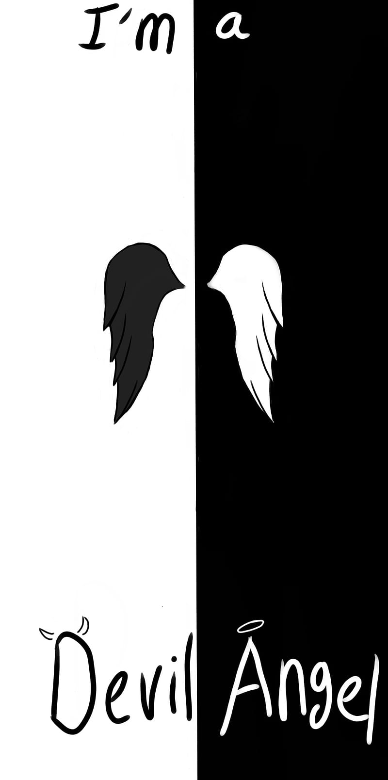 A pair of black and white angel wings, with two different sized circular images in the contrasting colors white and black - Wings
