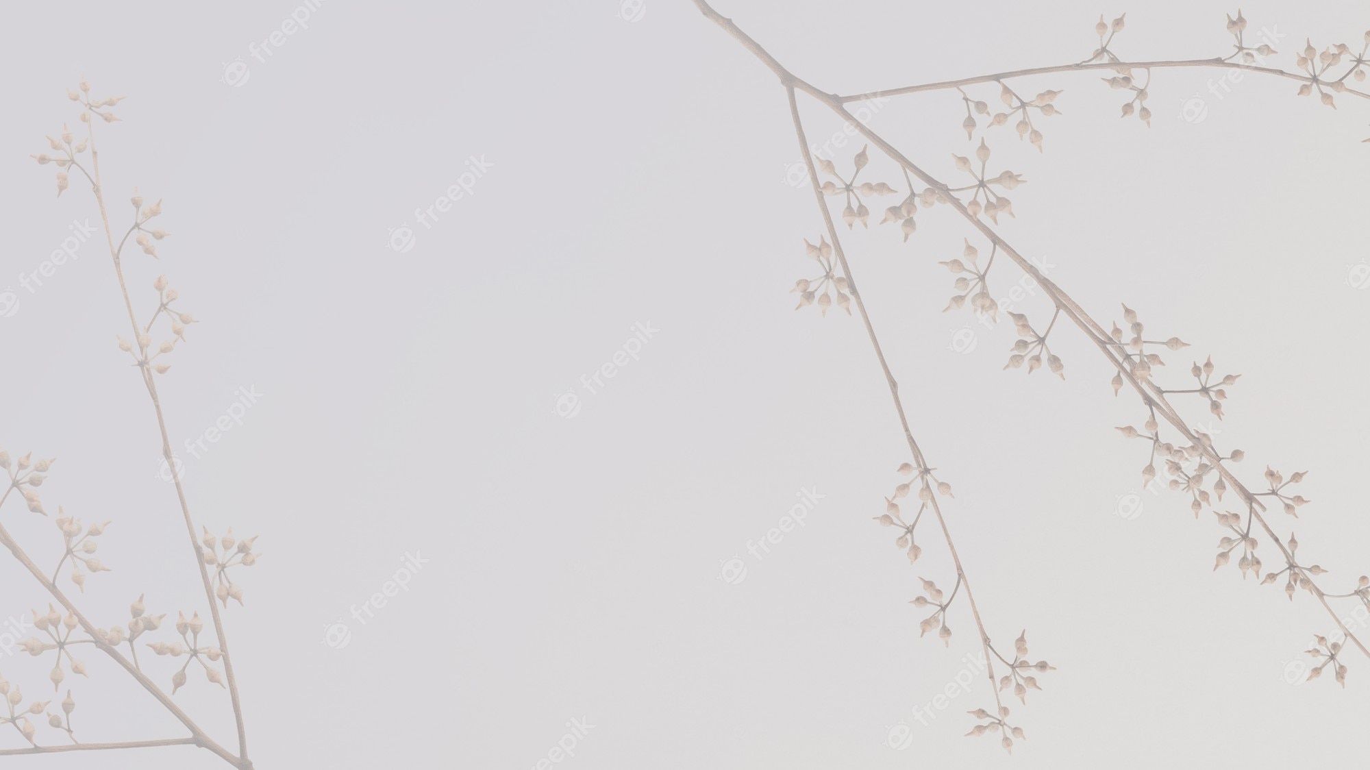 A white background with a branch of flowers - Neutral