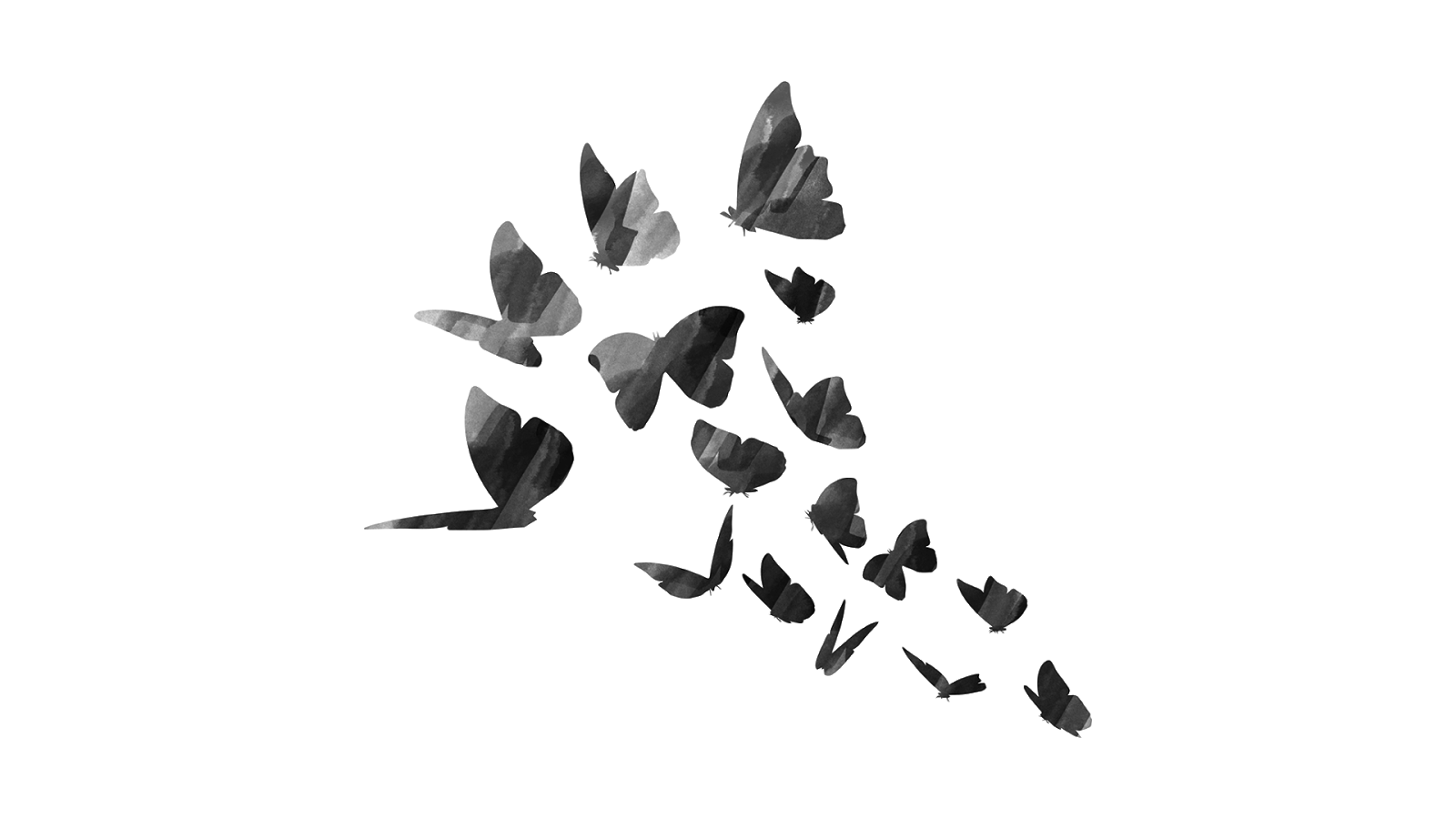 A group of black butterflies on a green background - Wings
