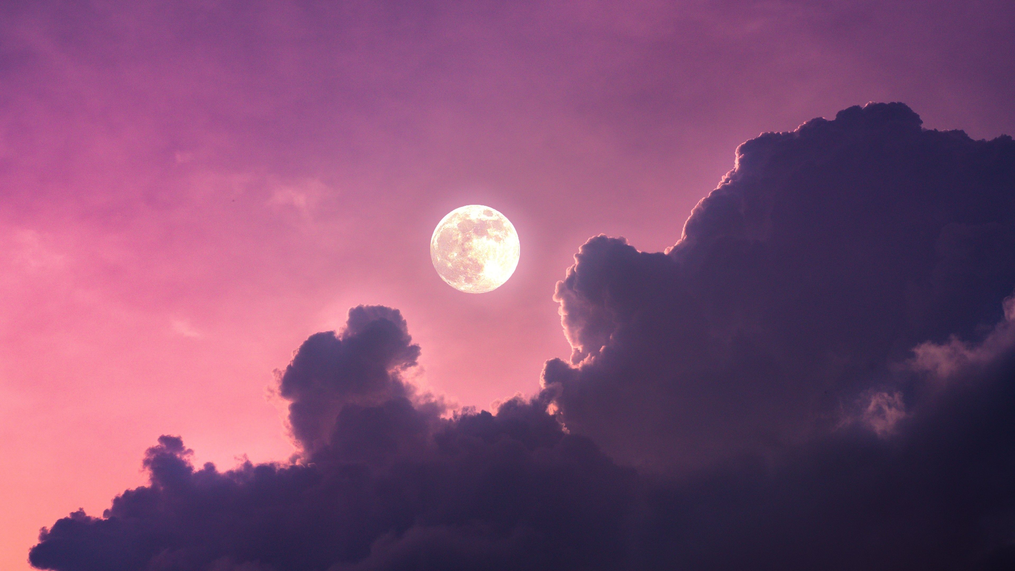 A full moon is in the sky - Scenery, moon phases, HD, landscape, sky