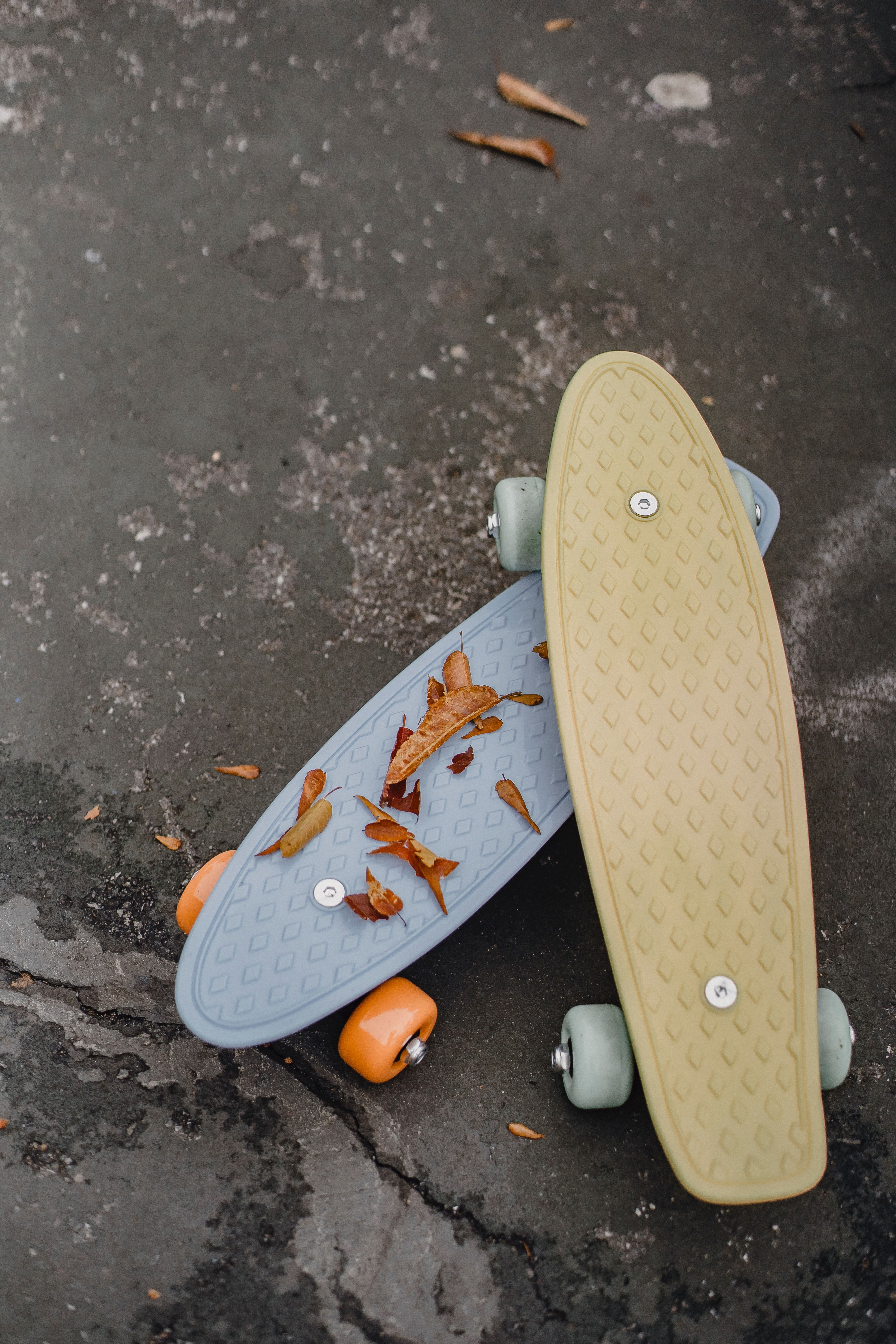 Skateboard Wheel Photo, Download The BEST Free Skateboard Wheel & HD Image