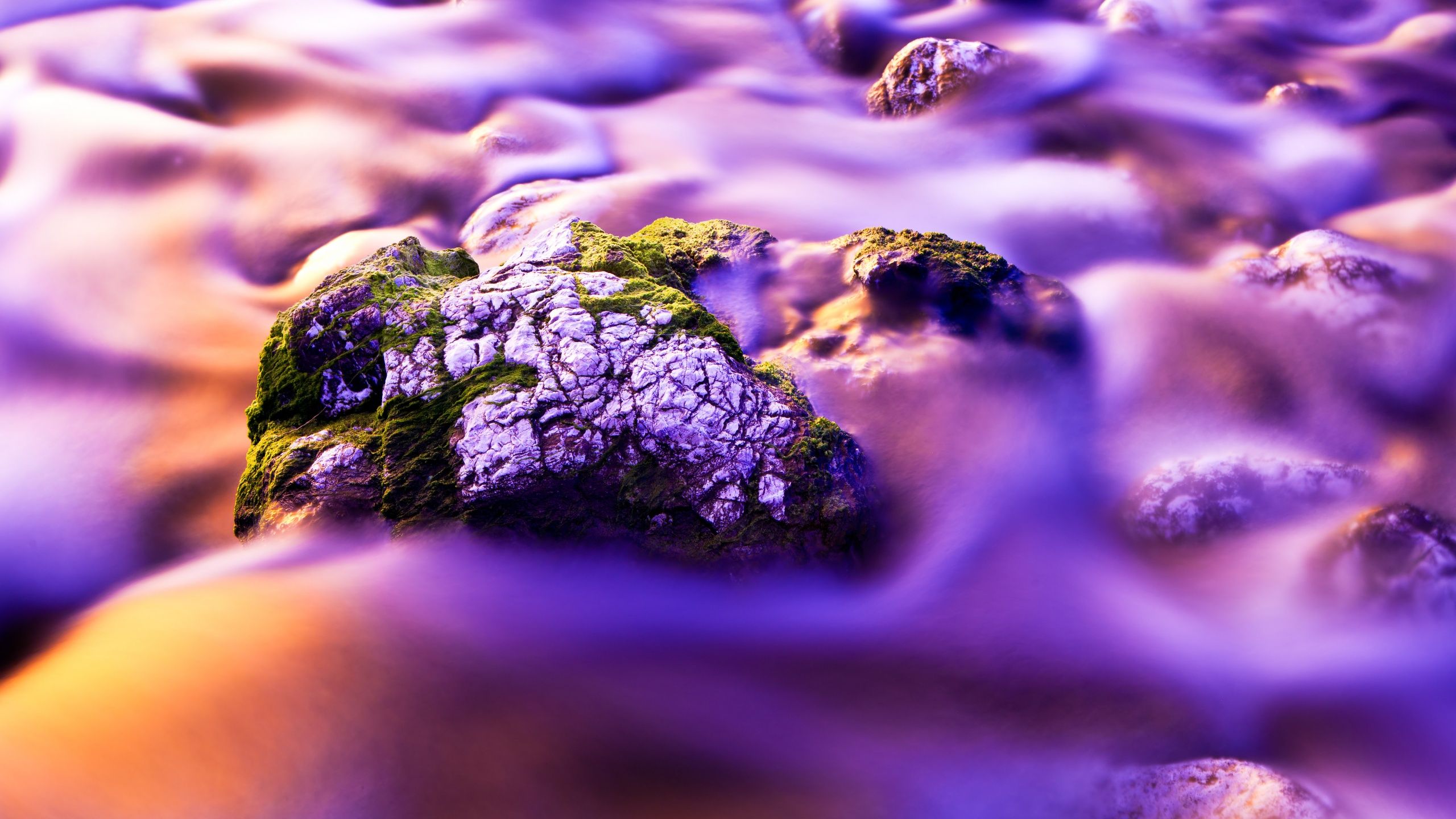 A close up of a rock with moss on it in a river. - IMac