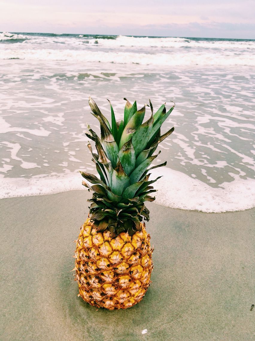 A pineapple sitting on the sand at the beach - Pineapple
