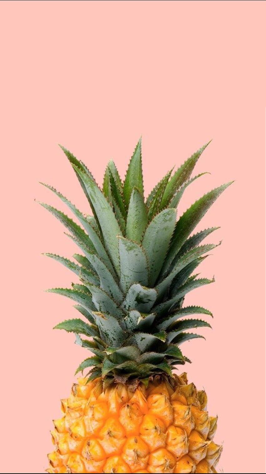 A pineapple on a pink background - Pineapple