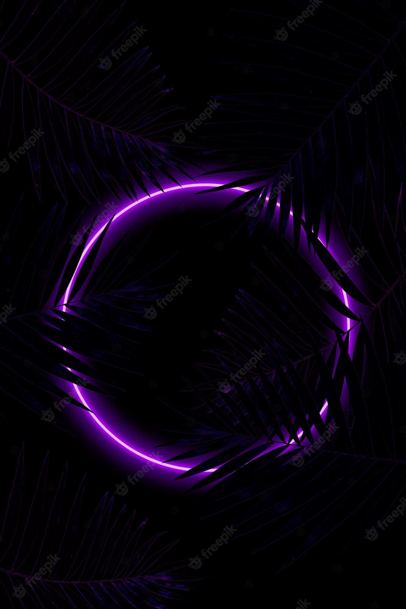 Purple neon light on a black background with palm leaves - Dark vaporwave