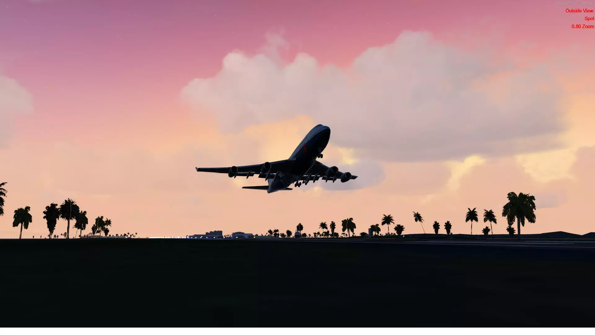 A plane flying over some trees and palm tree - Airplane