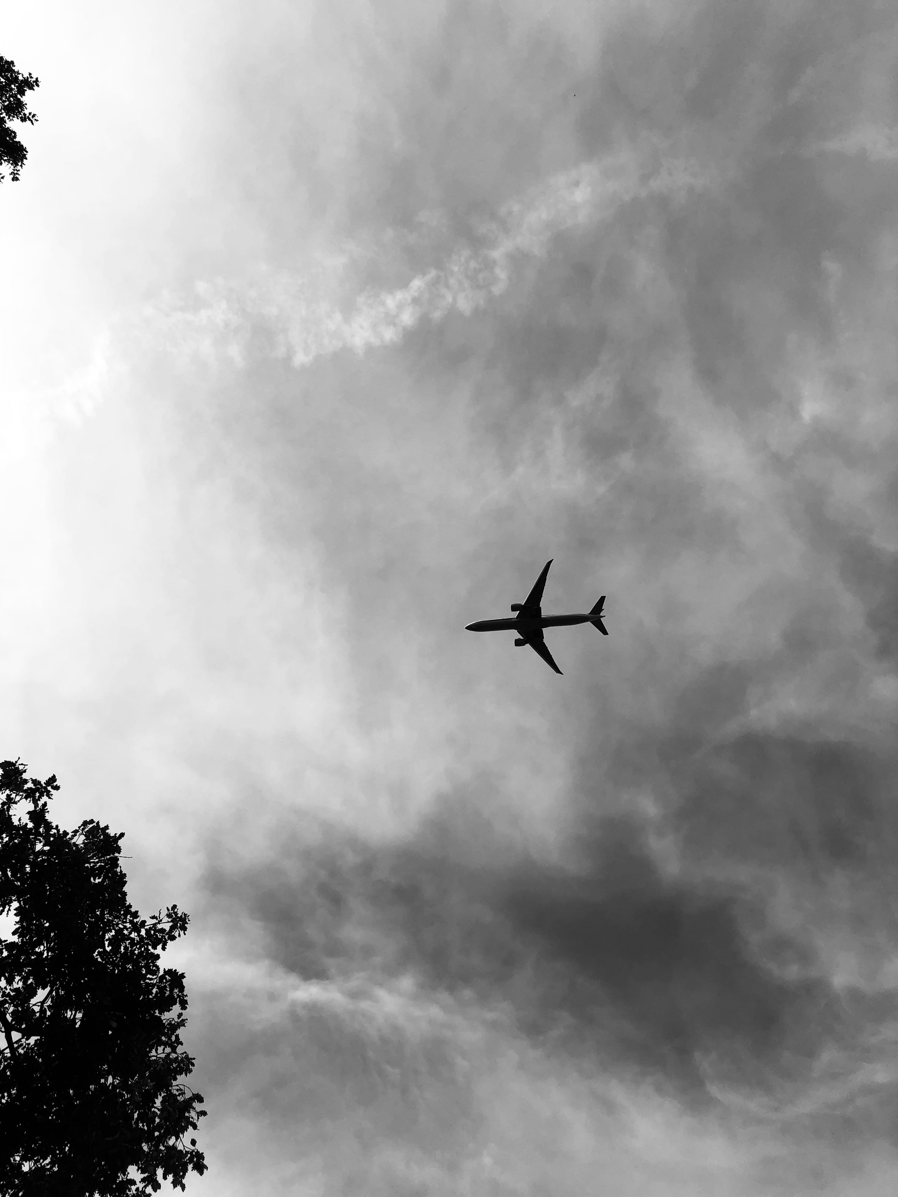 A plane flying in the sky with trees - Airplane