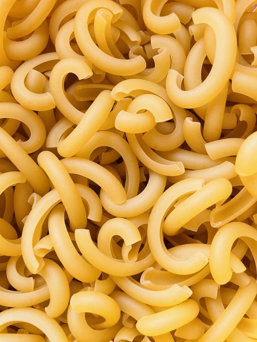 Macaroni Picture. Download Free Image