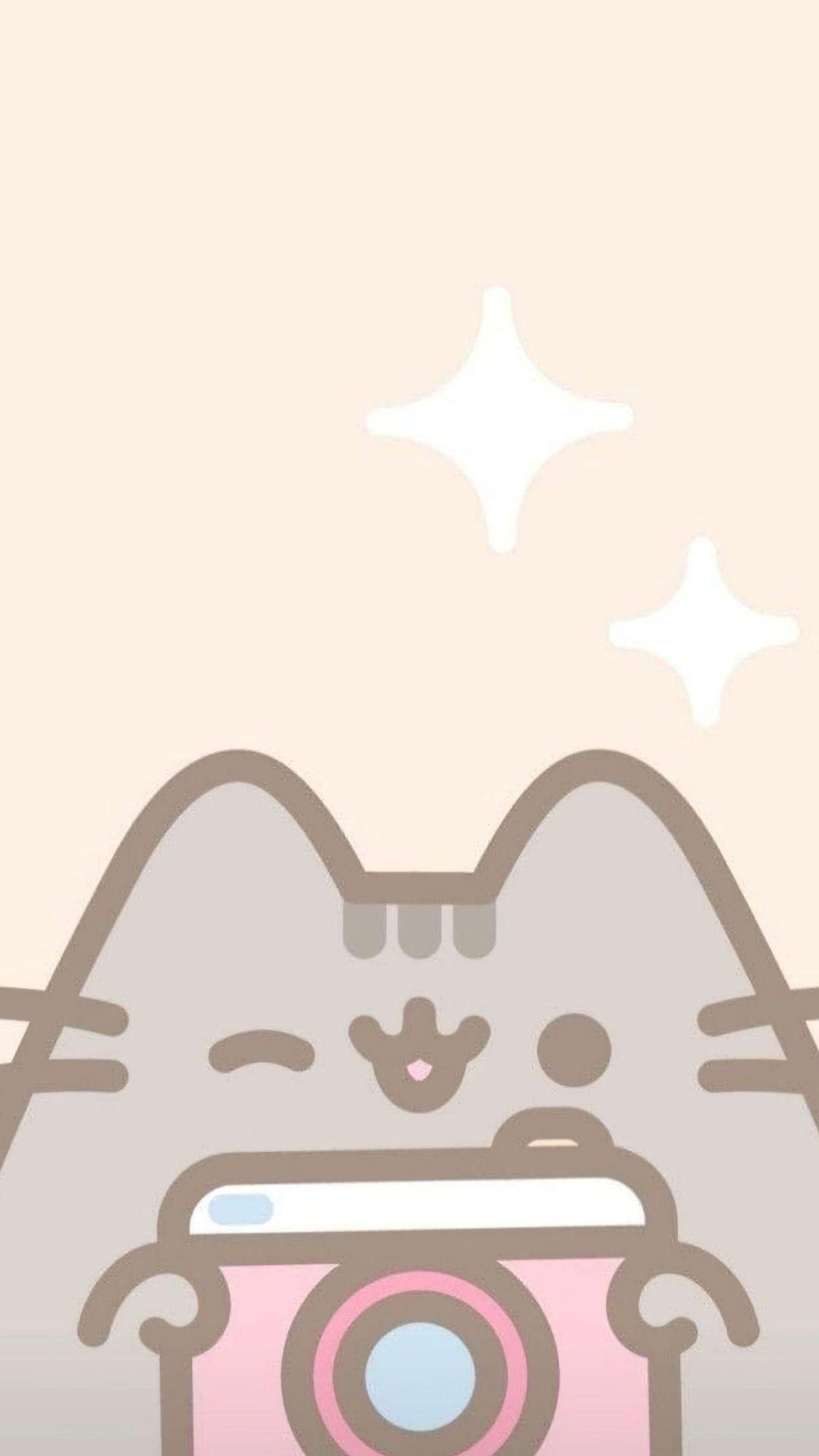 A cute cat holding up an instagram camera - Pusheen