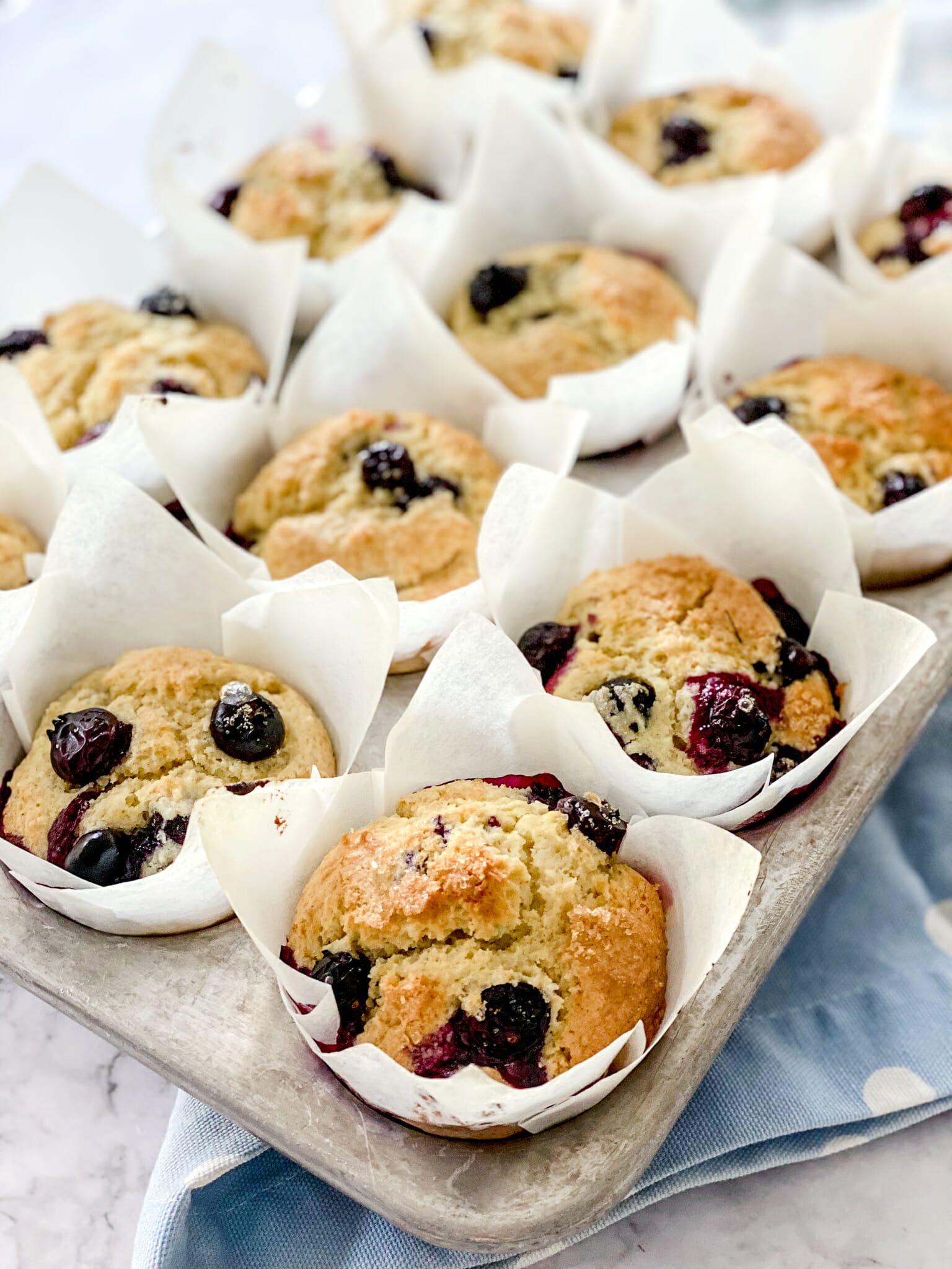 A tray of muffins with blueberries on it - 