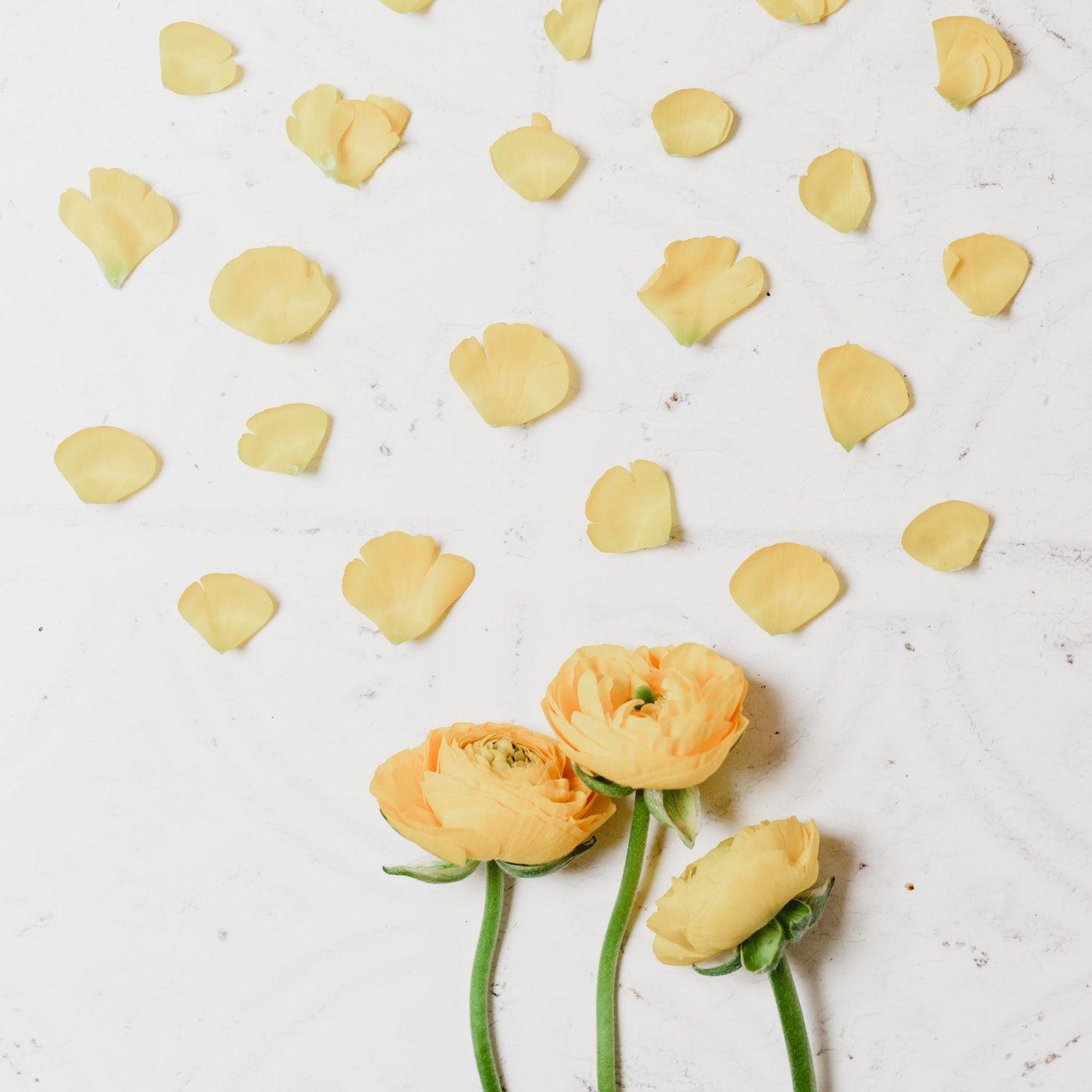 A bunch of flowers on the floor - Mental health