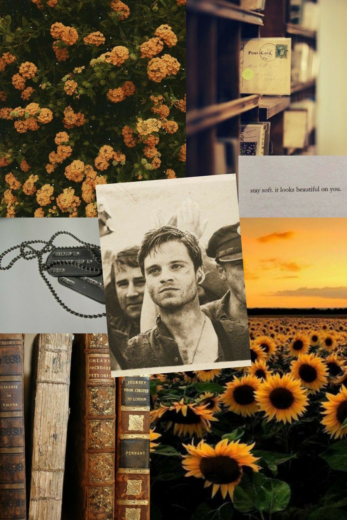 Bucky Barnes Aesthetic Wallpaper