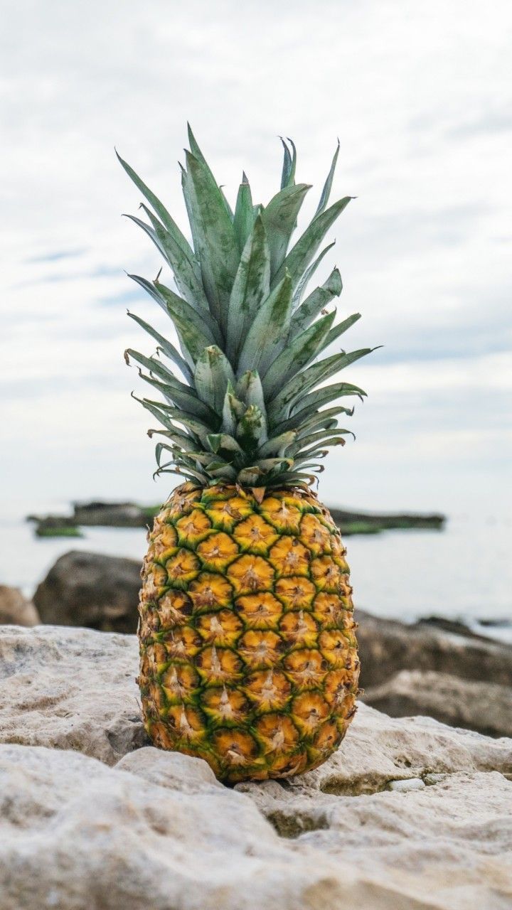 A pineapple sitting on a rock by the ocean - Pineapple
