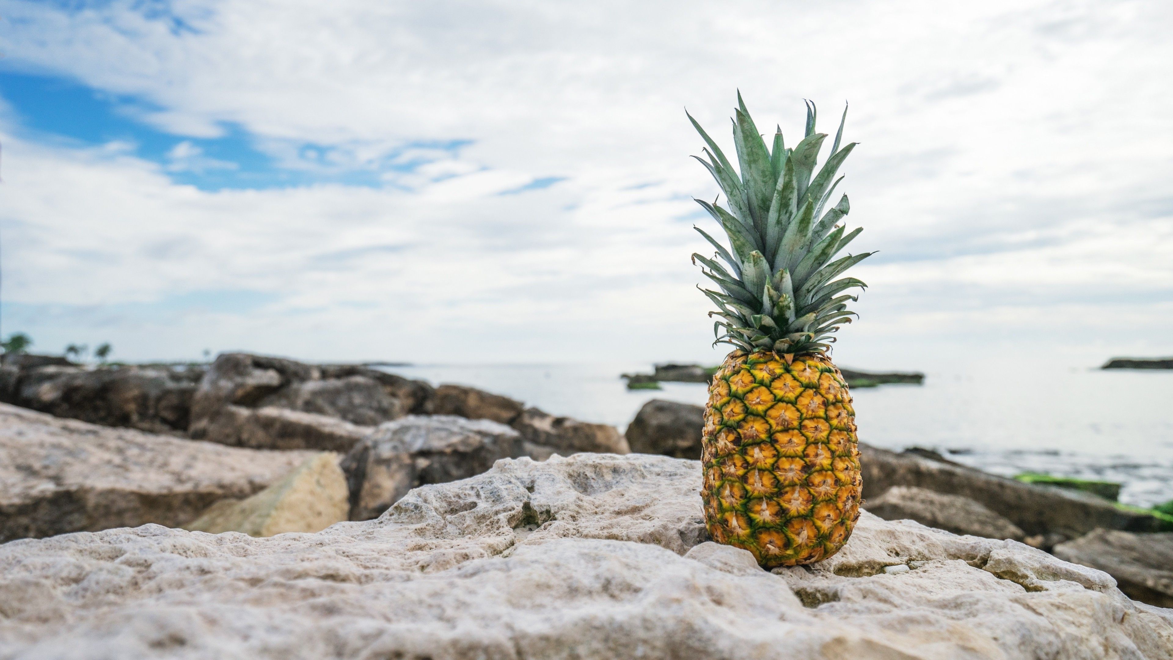 A pineapple is sitting on top of some rocks - Pineapple