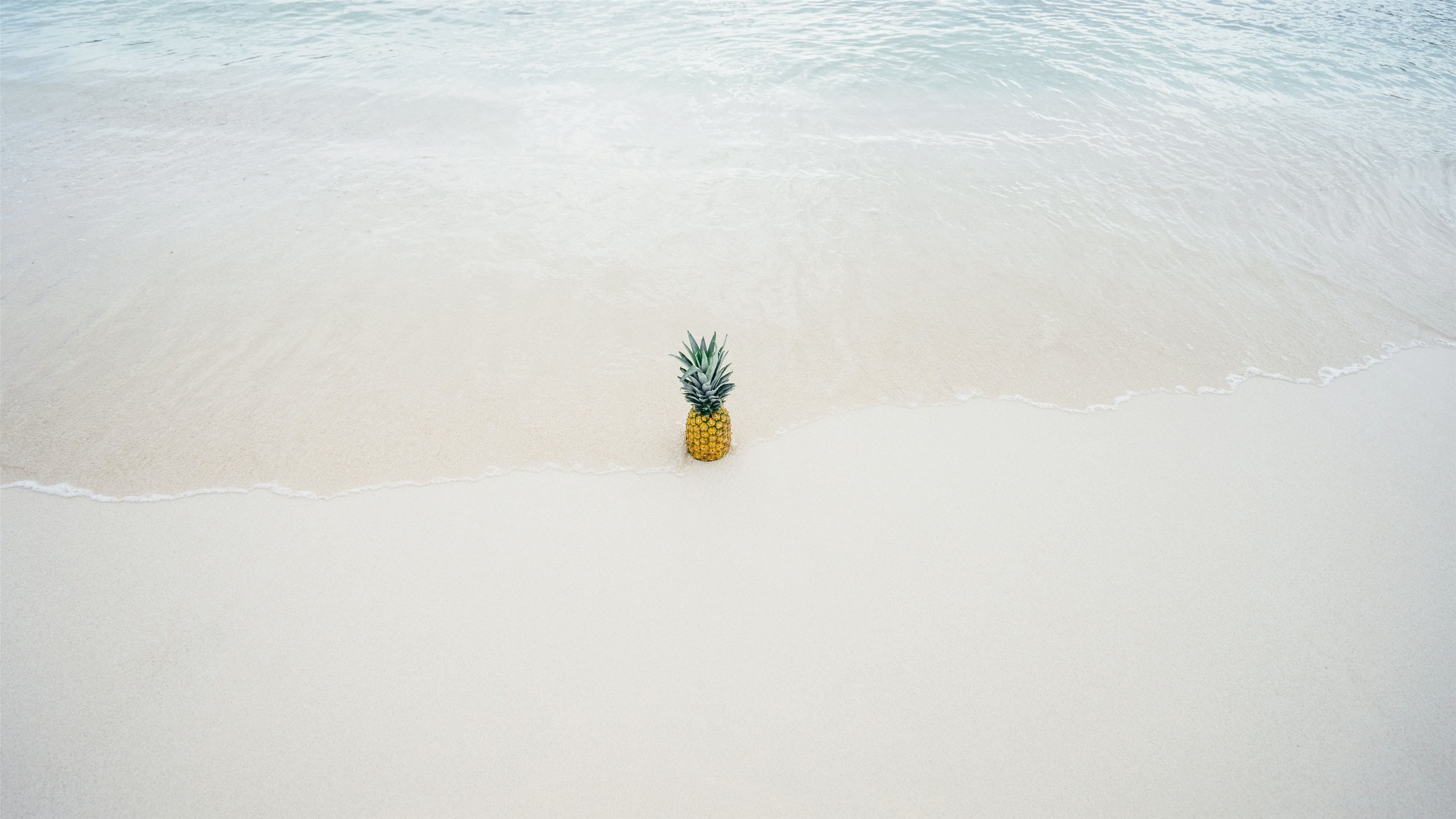 Pineapple in the beach sand Mac Wallpaper Download
