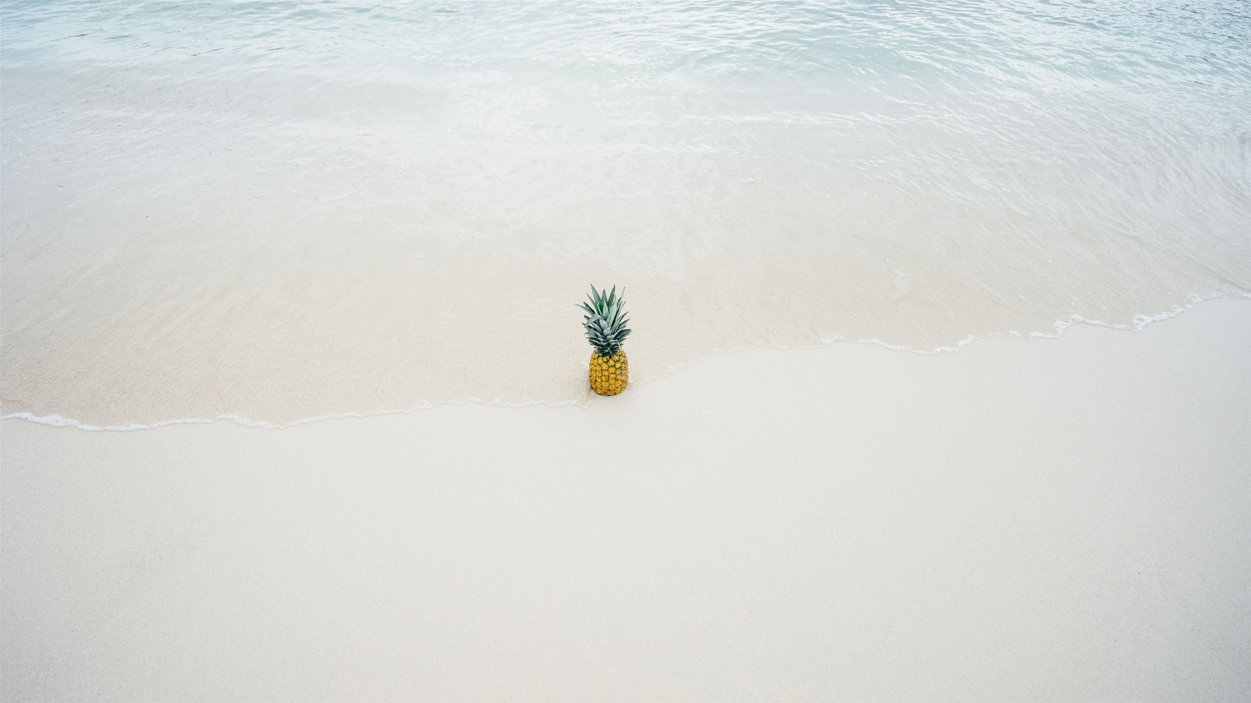 A pineapple on the beach with the ocean coming up to it - Pineapple