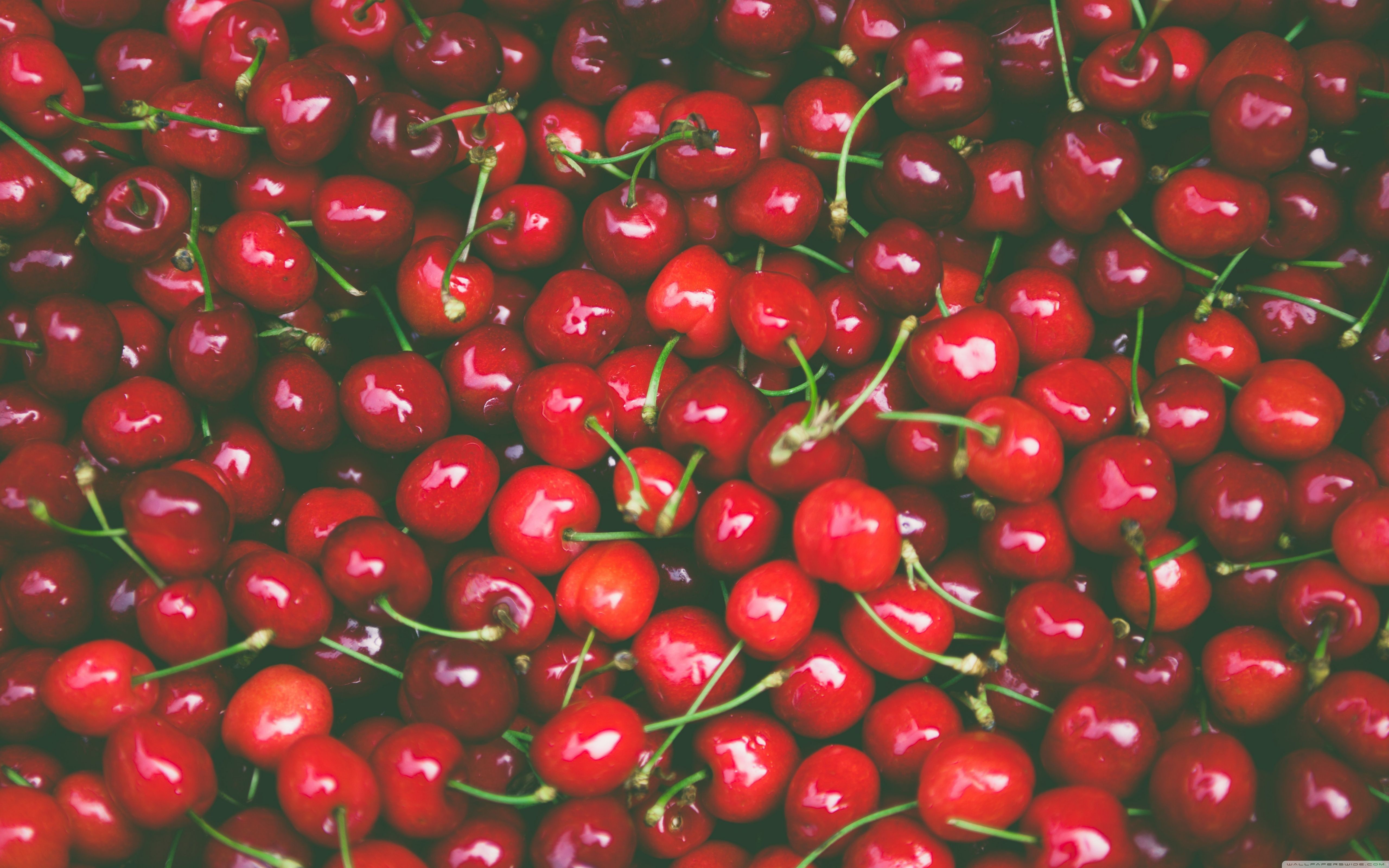 A large pile of cherries with stems - Cherry