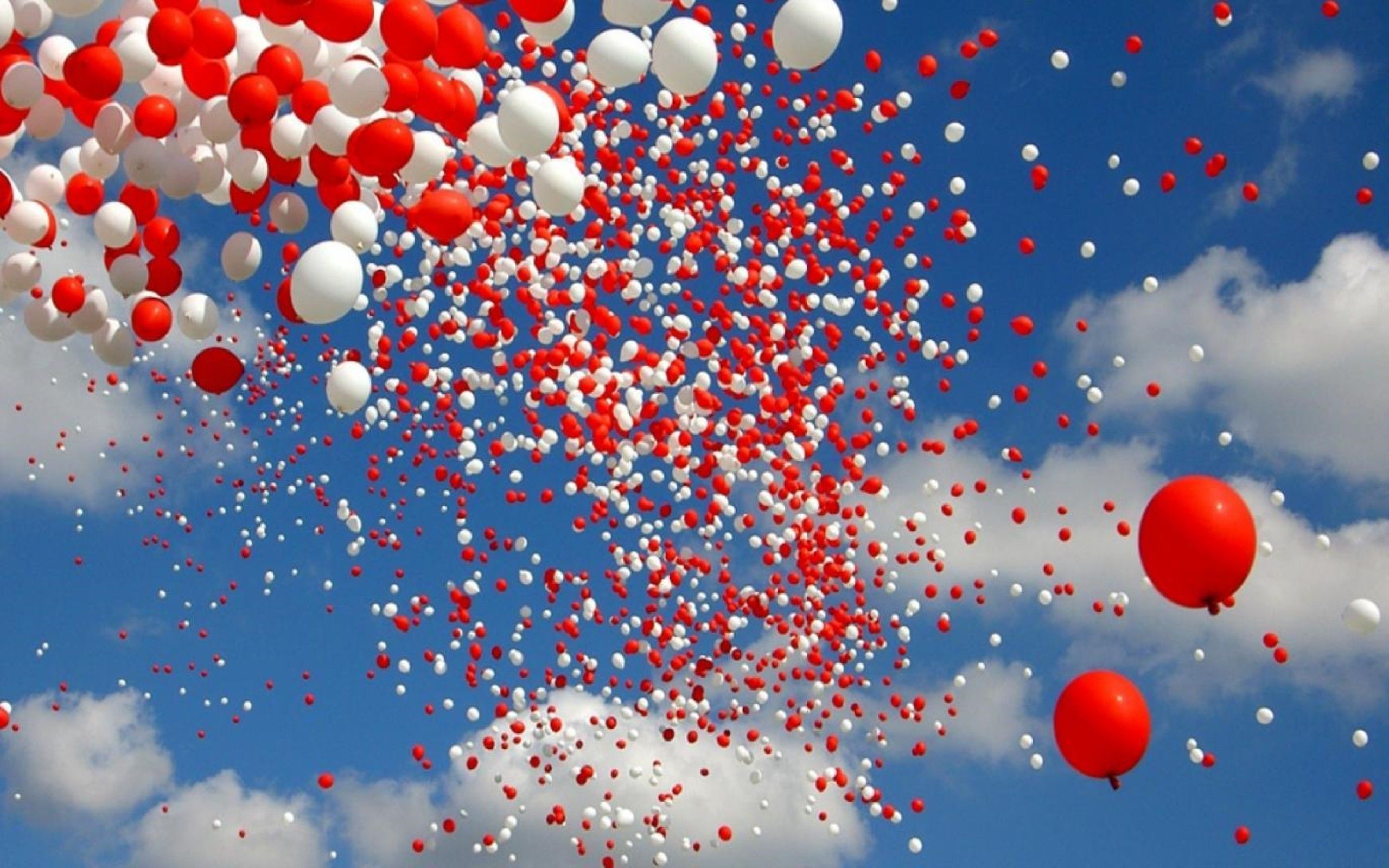 A large number of red and white balloons in the sky - Balloons