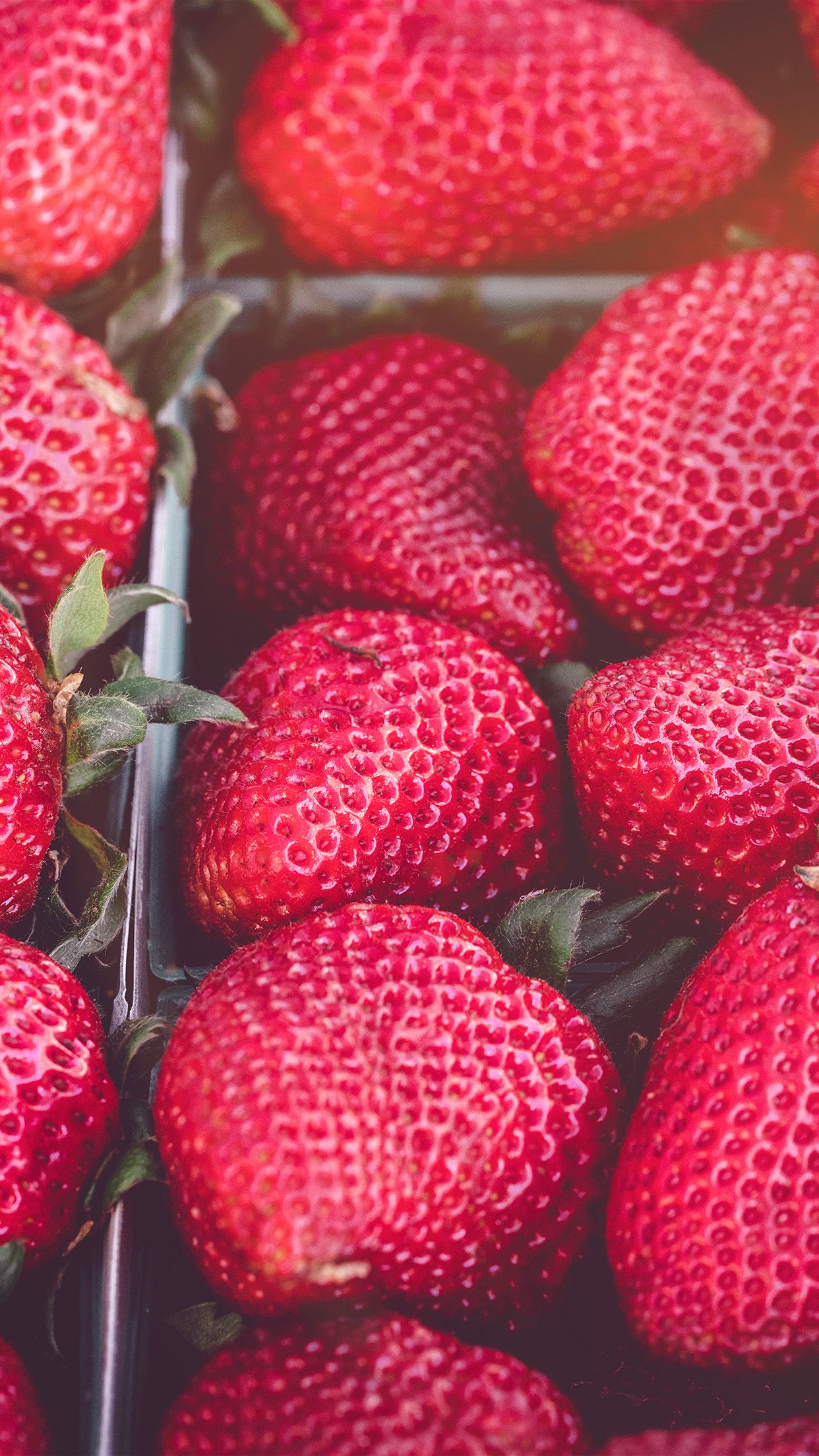 A close up of strawberries in a basket - Strawberry, fruit