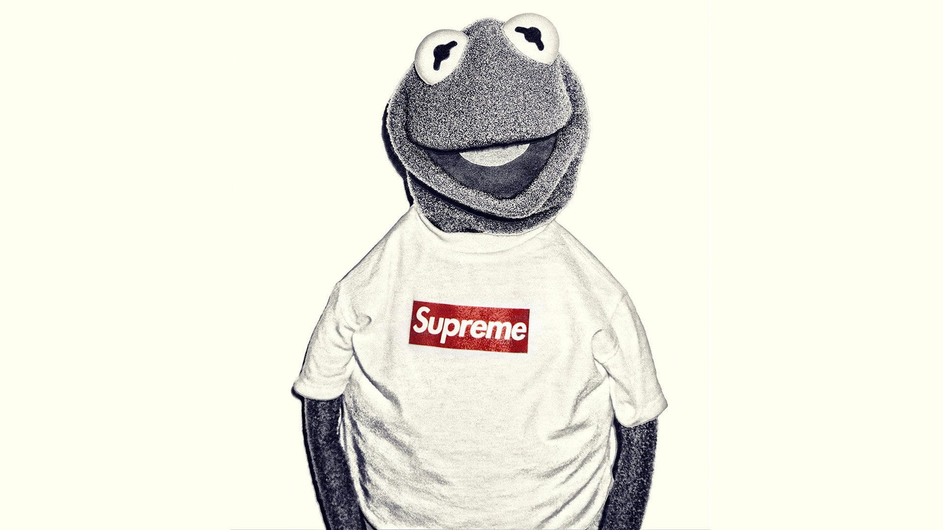 Kermit the Frog in a Supreme t-shirt. - Supreme