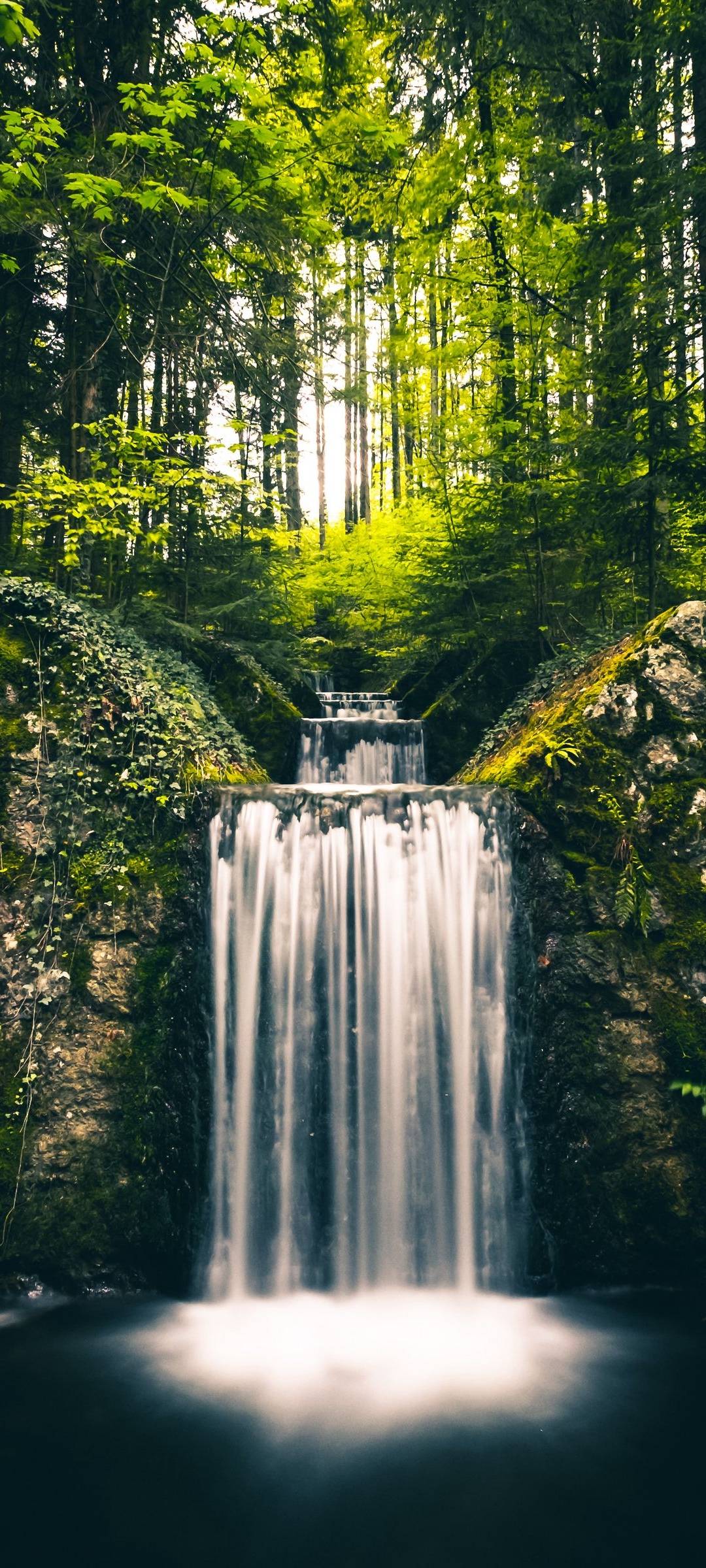 A waterfall in the middle of some trees - Waterfall