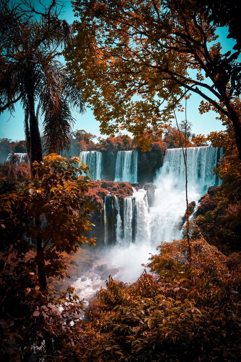 A waterfall in the forest with trees and leaves - Waterfall