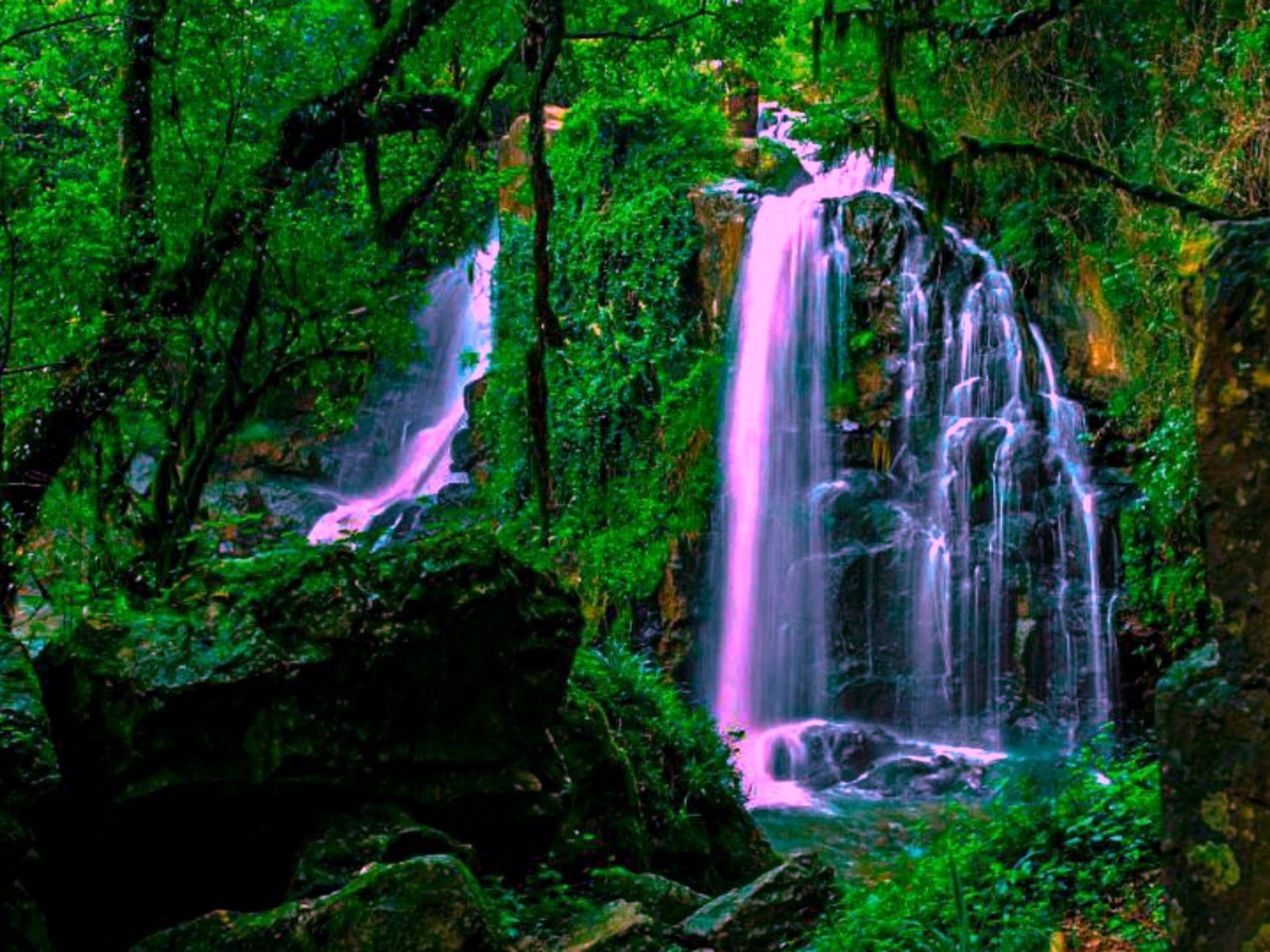 Magical Forest Waterfall Wide Wallpaper 552228 : Wallpaper13.com