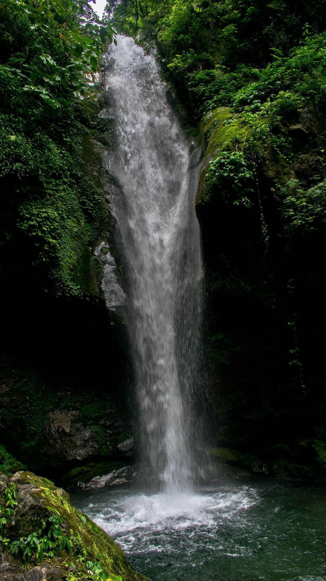 A waterfall in the middle of a forest. - Waterfall