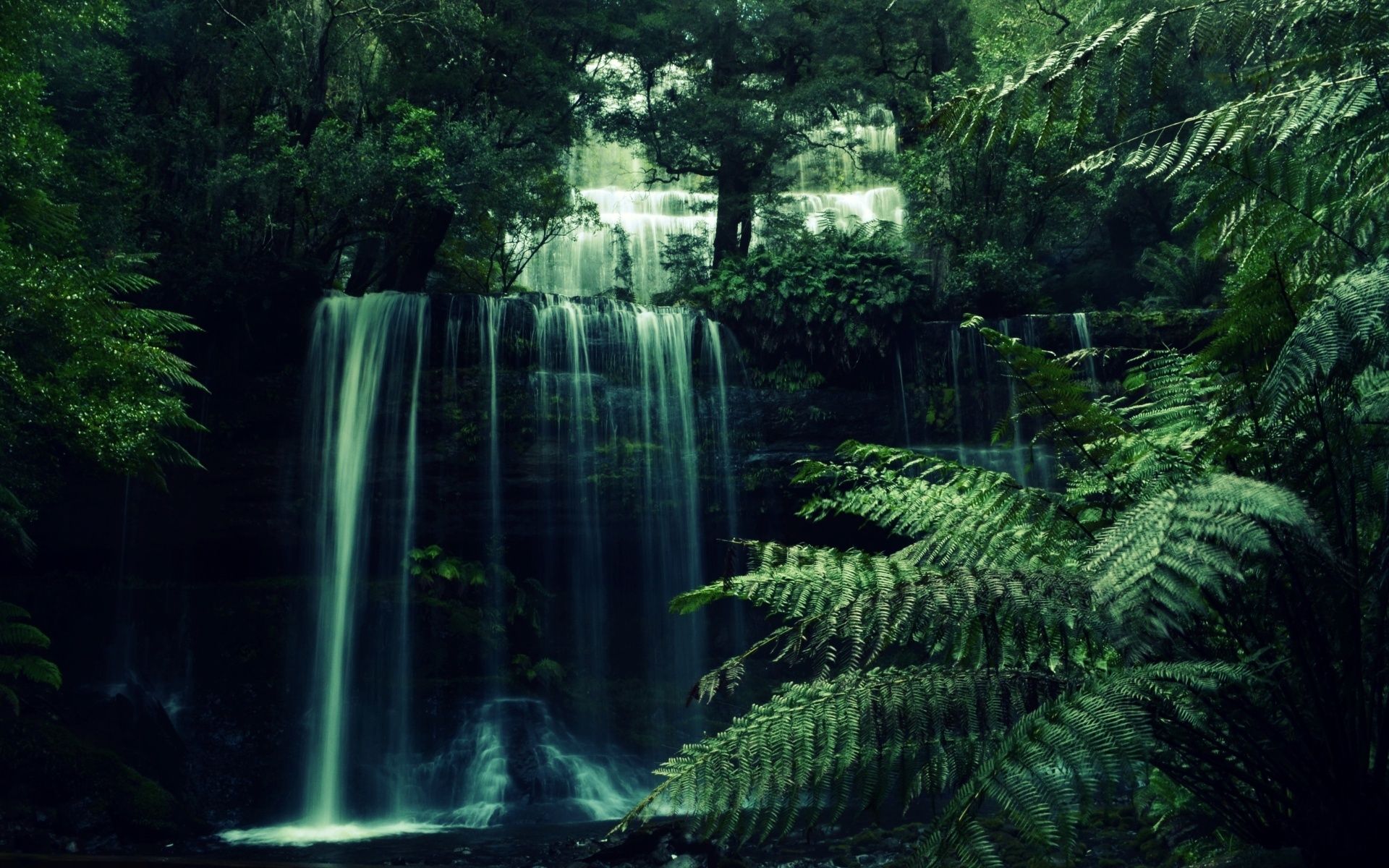 A waterfall in the middle of some trees - Waterfall