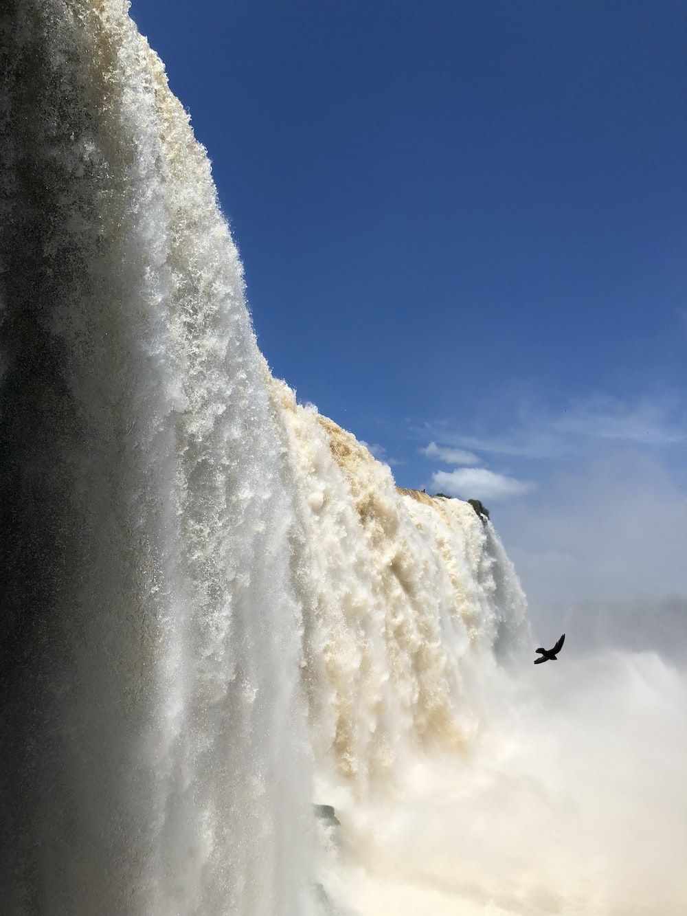 A bird flying in front of a waterfall - Waterfall