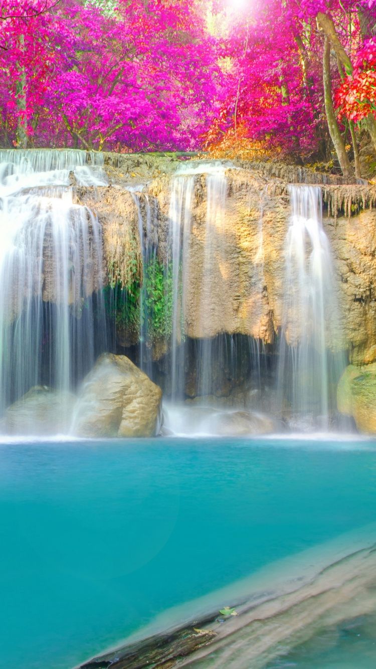 A waterfall surrounded by colorful trees - Waterfall