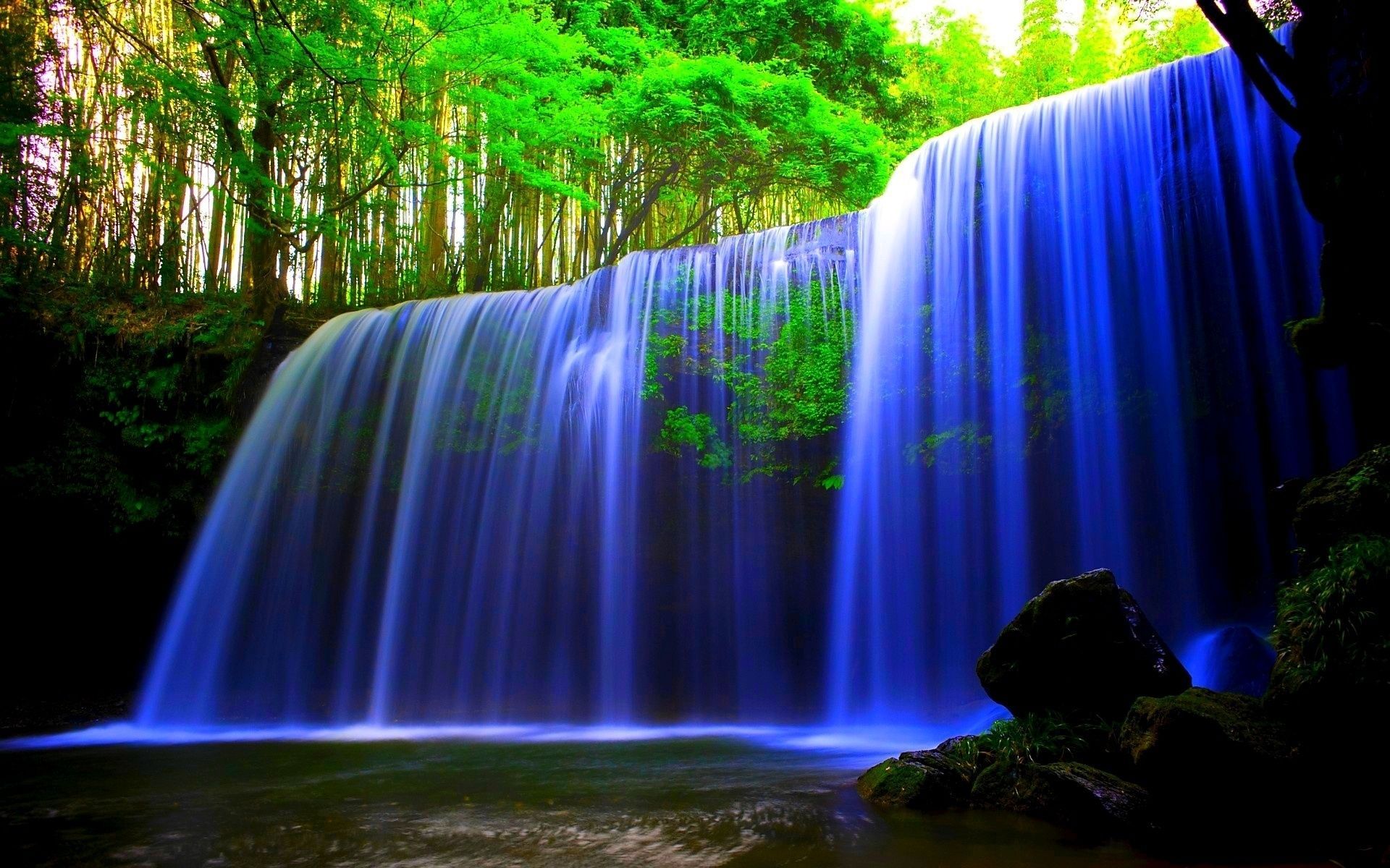 A waterfall in the forest - Waterfall