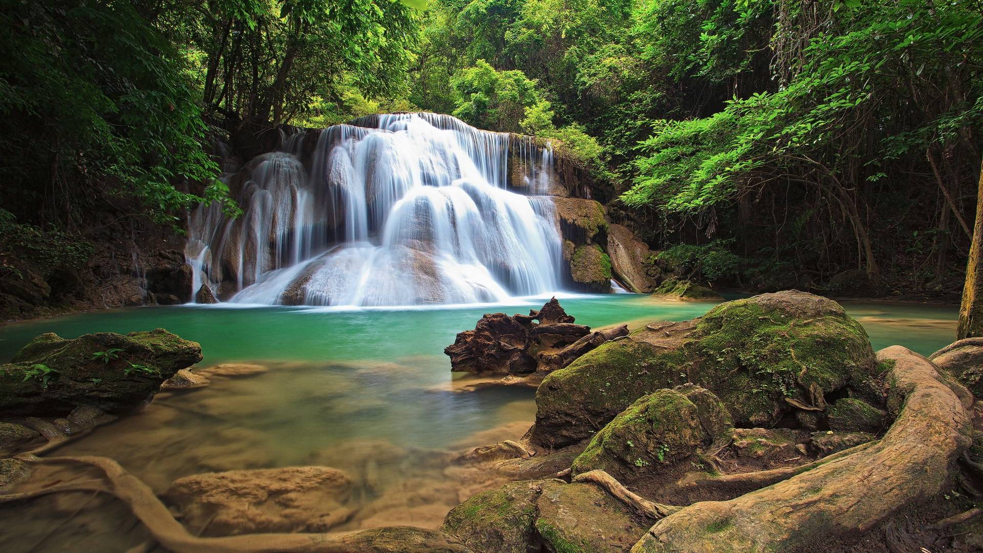 A waterfall in the middle of lush green trees - Waterfall