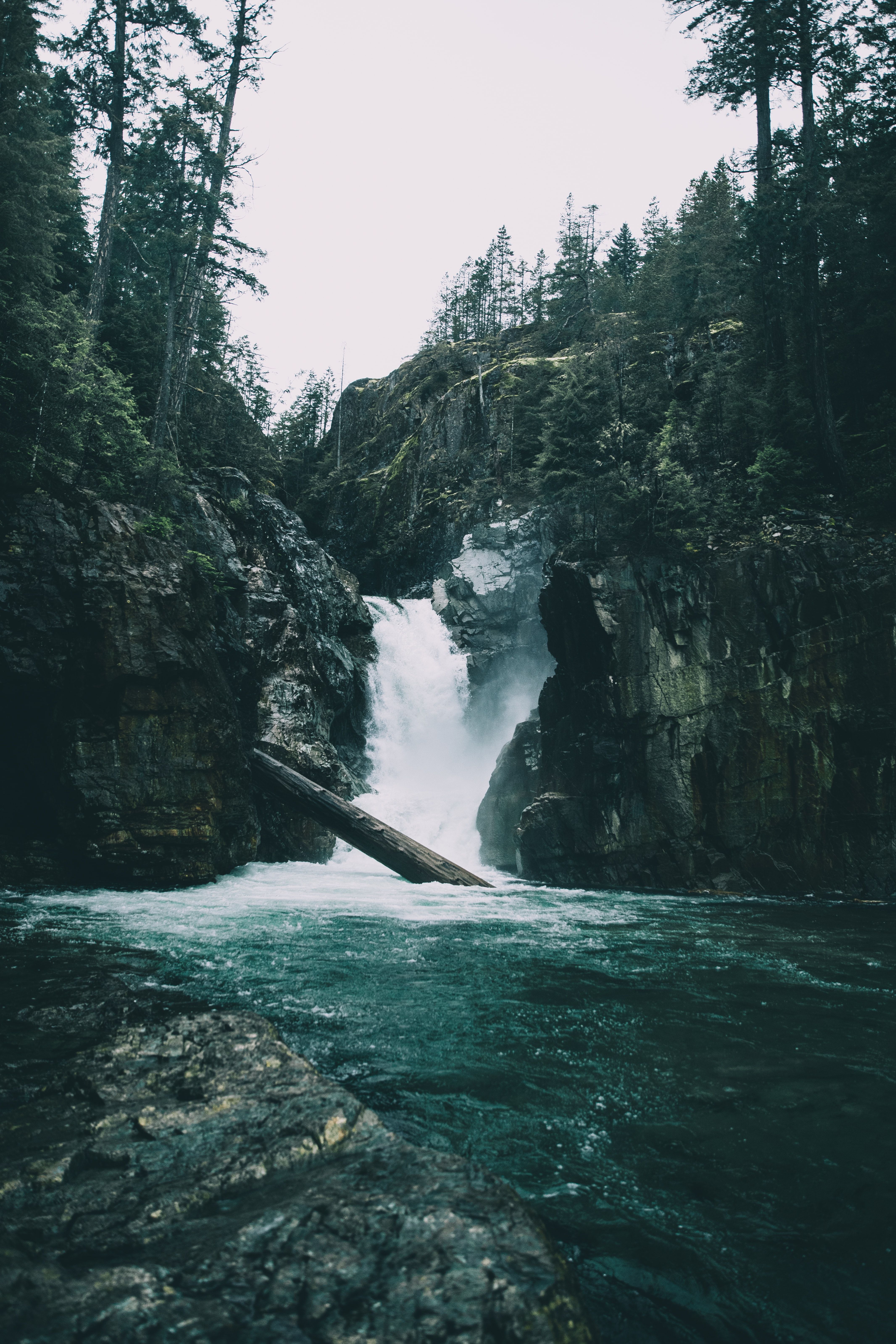 A waterfall surrounded by trees in a forest. - Waterfall