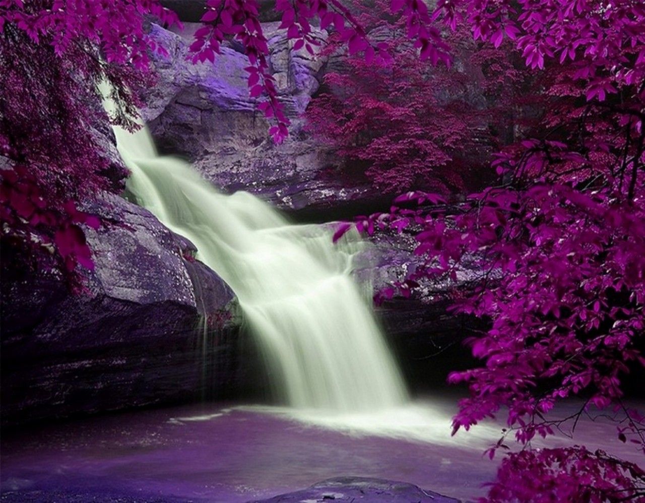 A waterfall surrounded by purple leaves - Waterfall