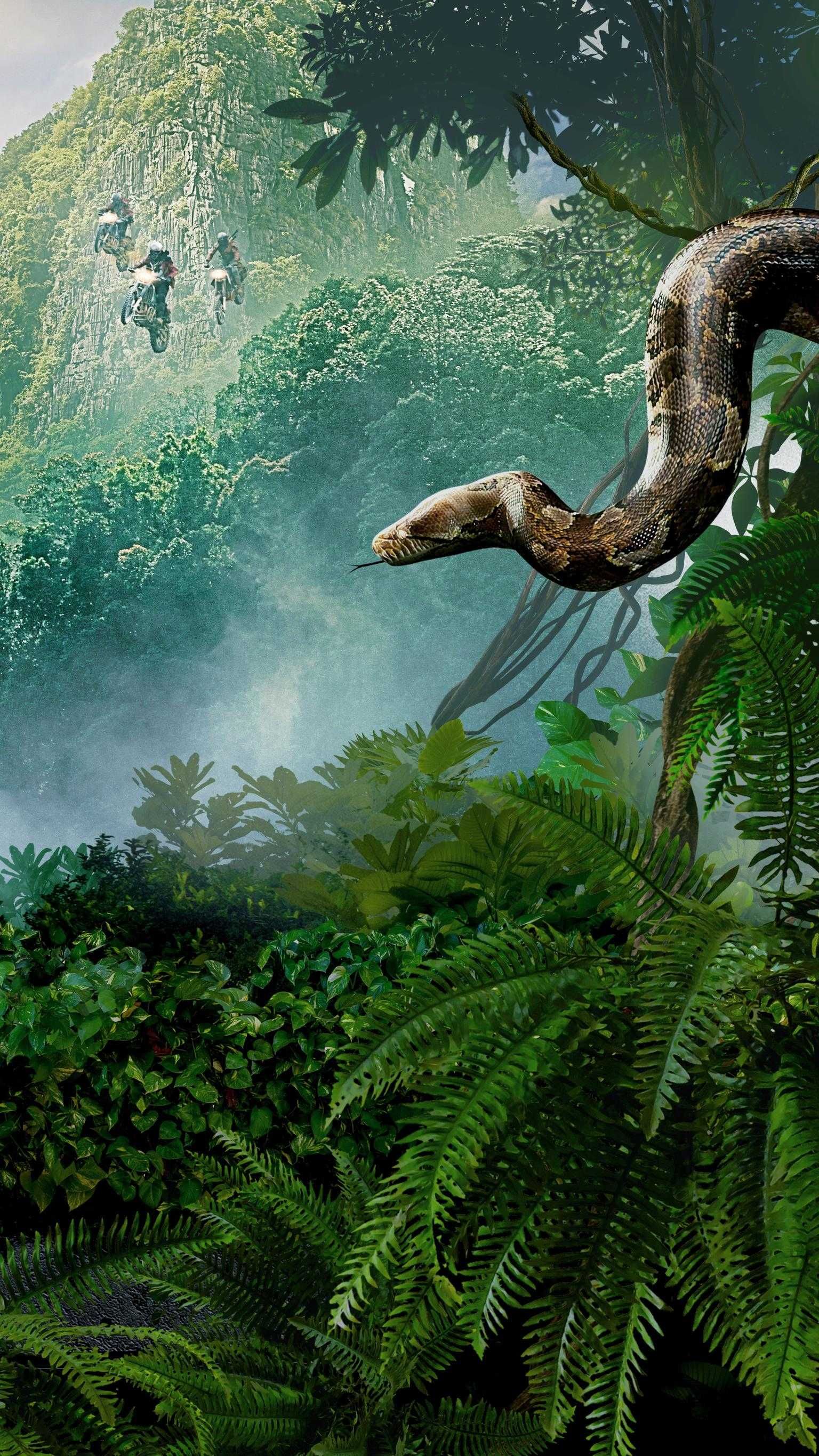 A snake on a tree branch in the jungle - Jungle, snake