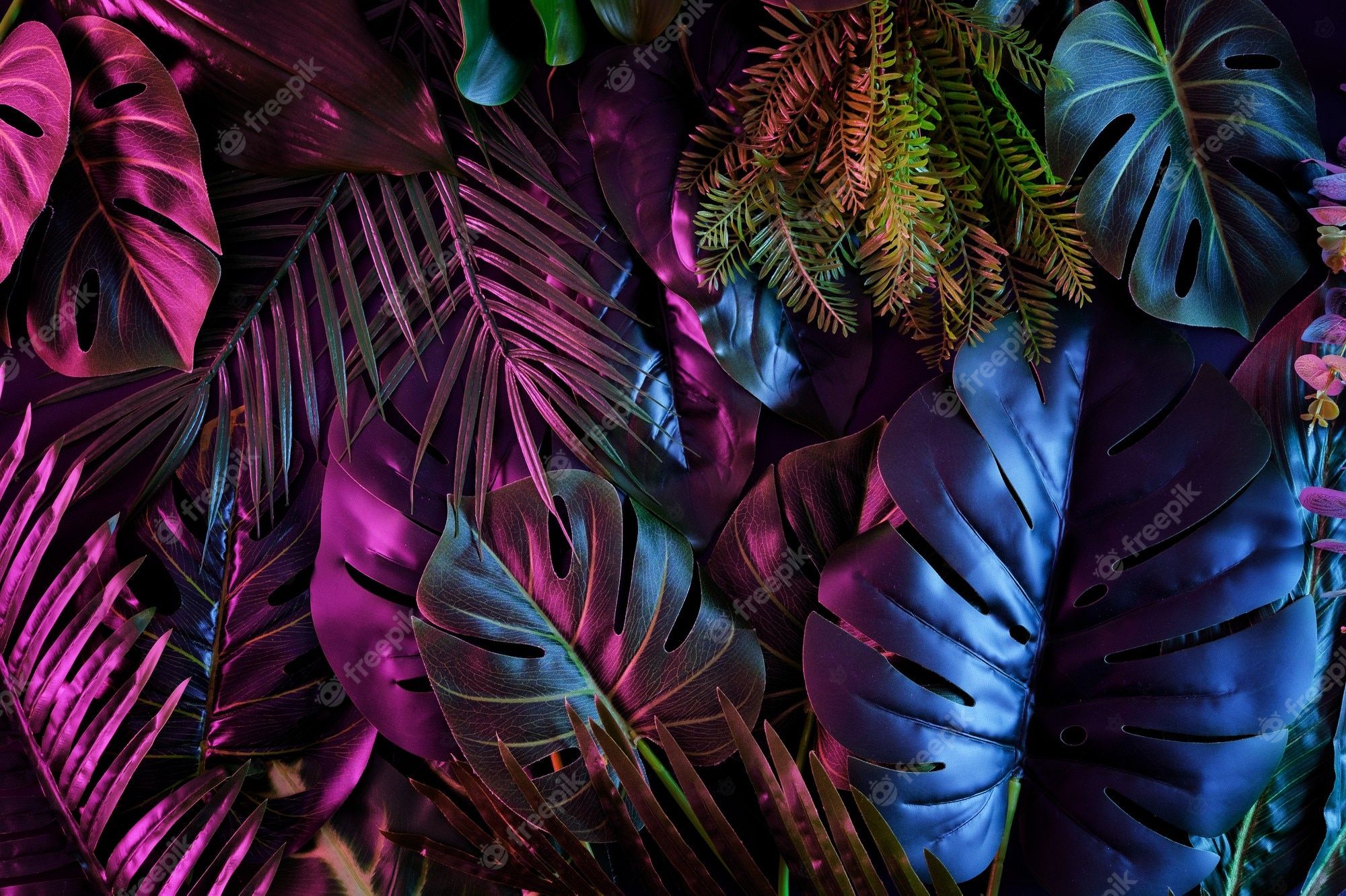 A colorful background of tropical plants - Neon, jungle