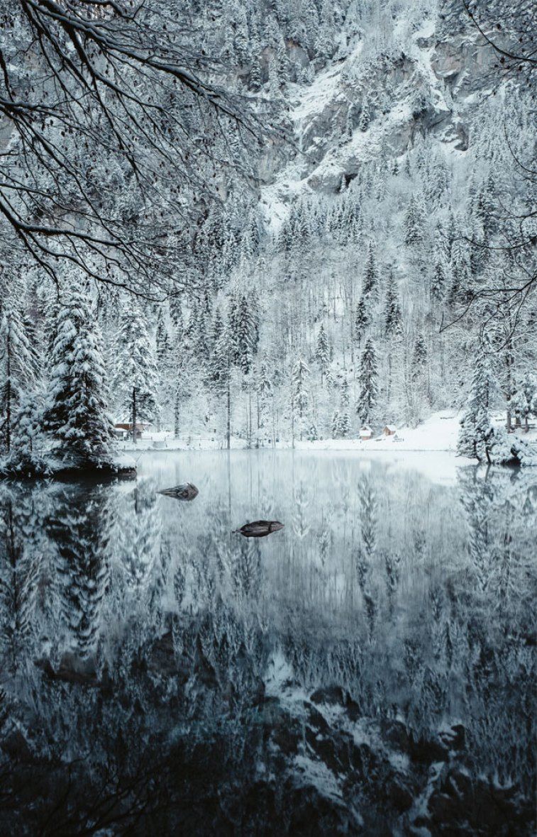 A lake surrounded by trees and snow - Lake