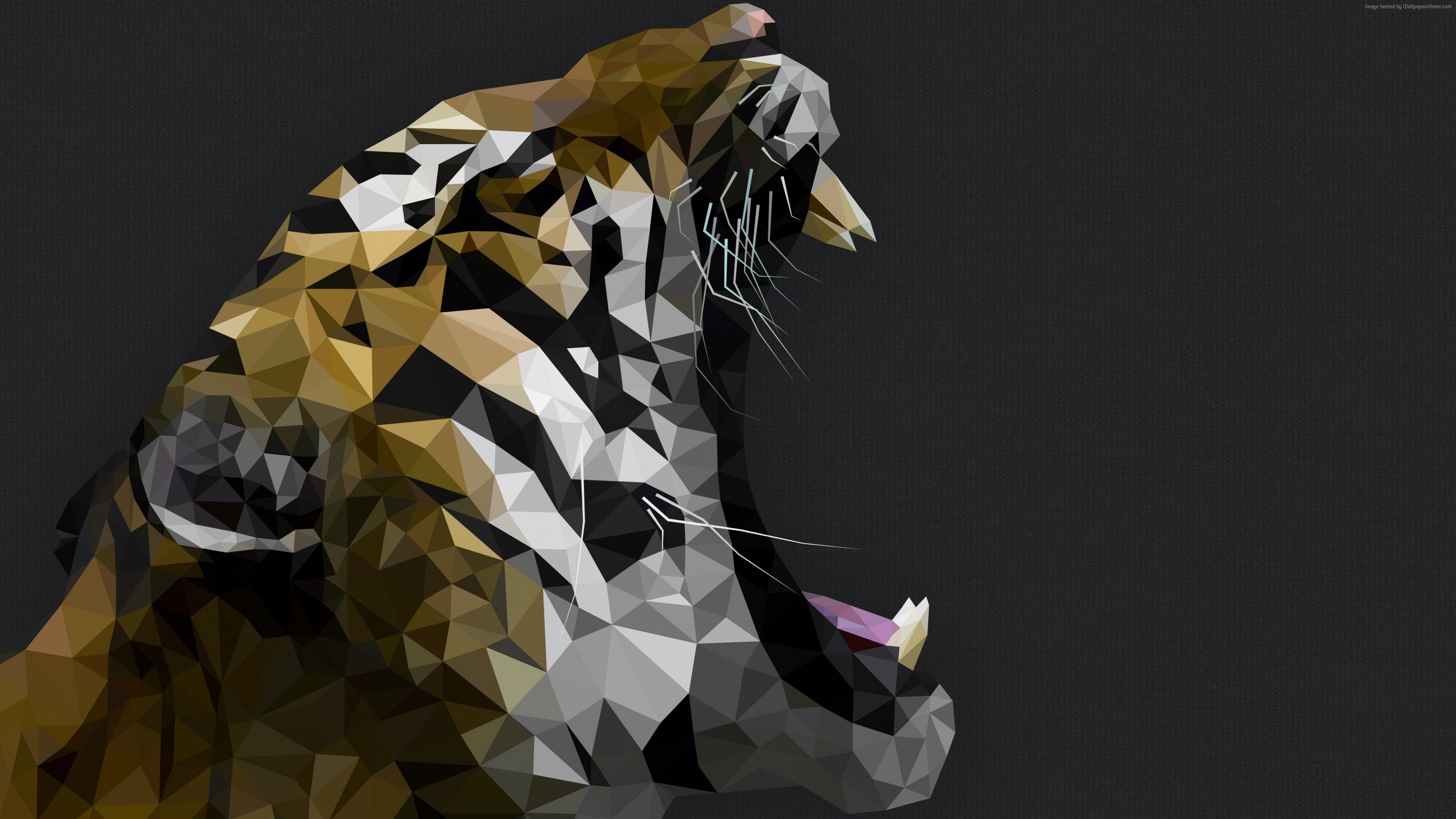 Low poly tiger wallpaper 2560x1440 for download - Low poly
