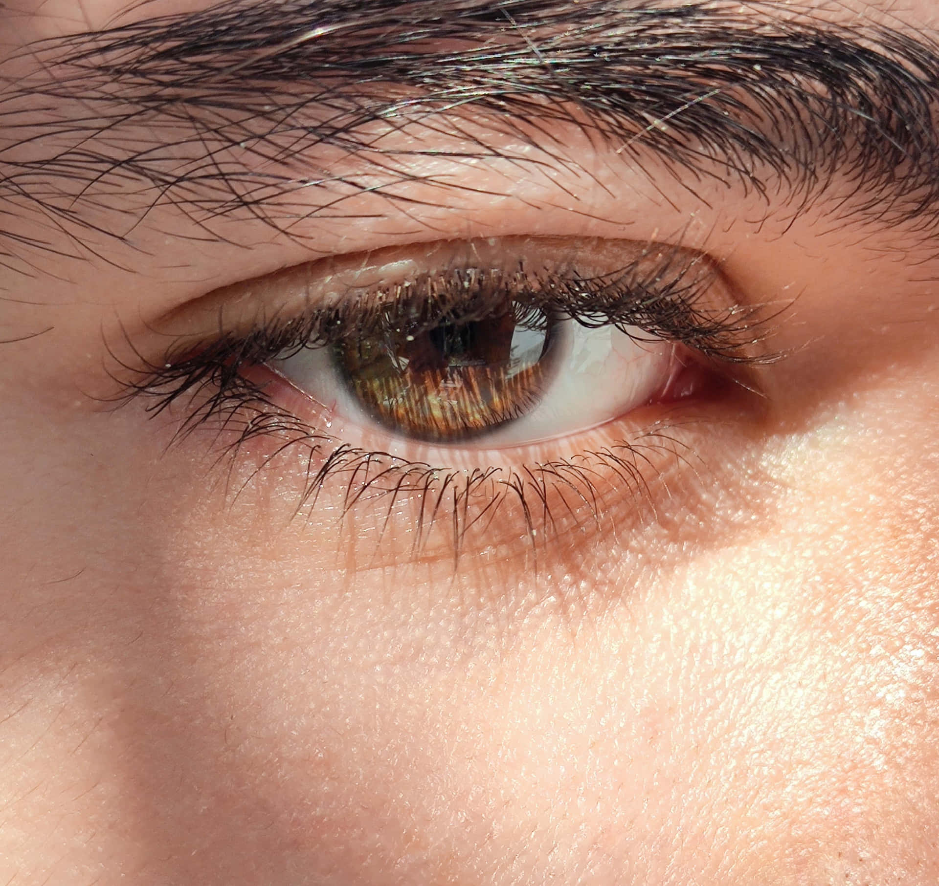 Download A Close Up Of A Man's Eye With Brown Eyes