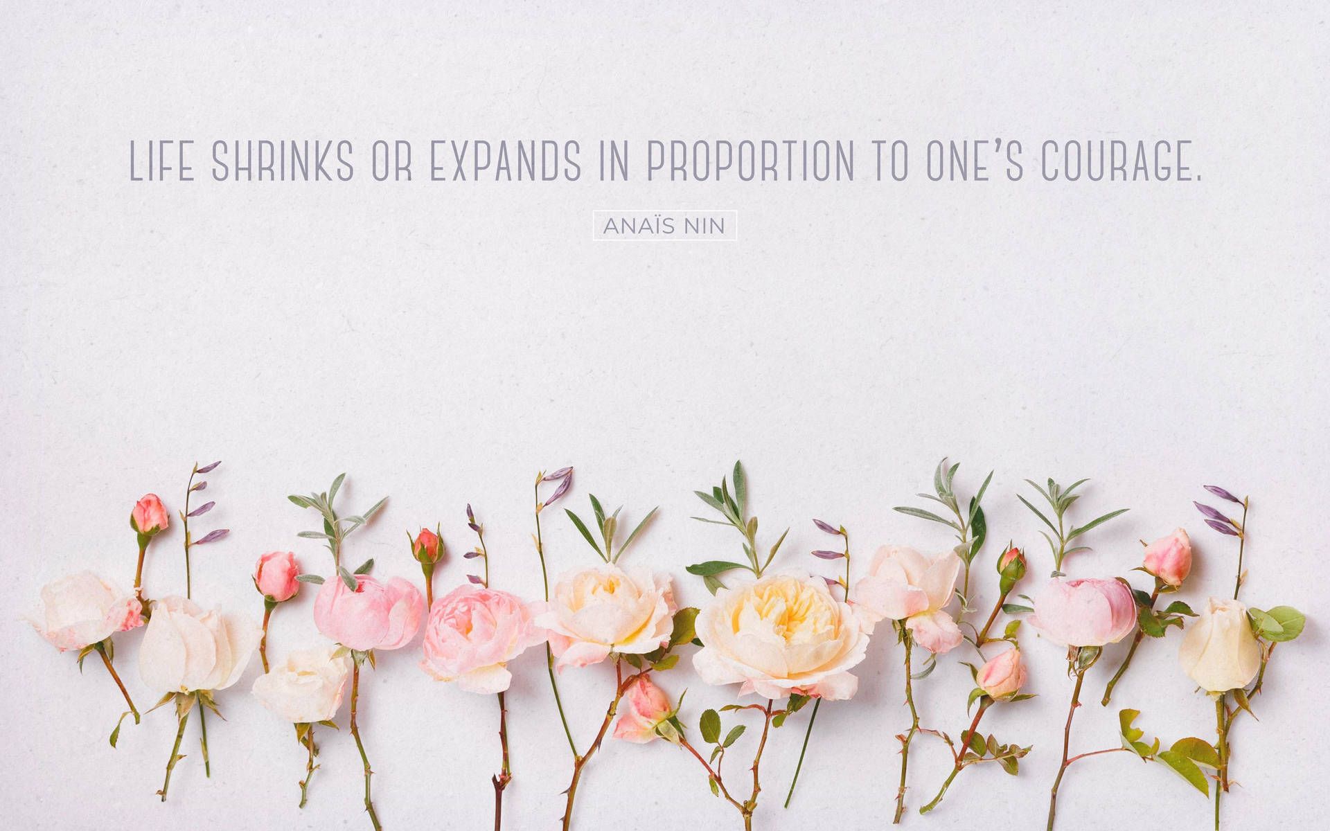 A white background with a row of pink and white flowers in the foreground. Above the flowers is a quote that says 