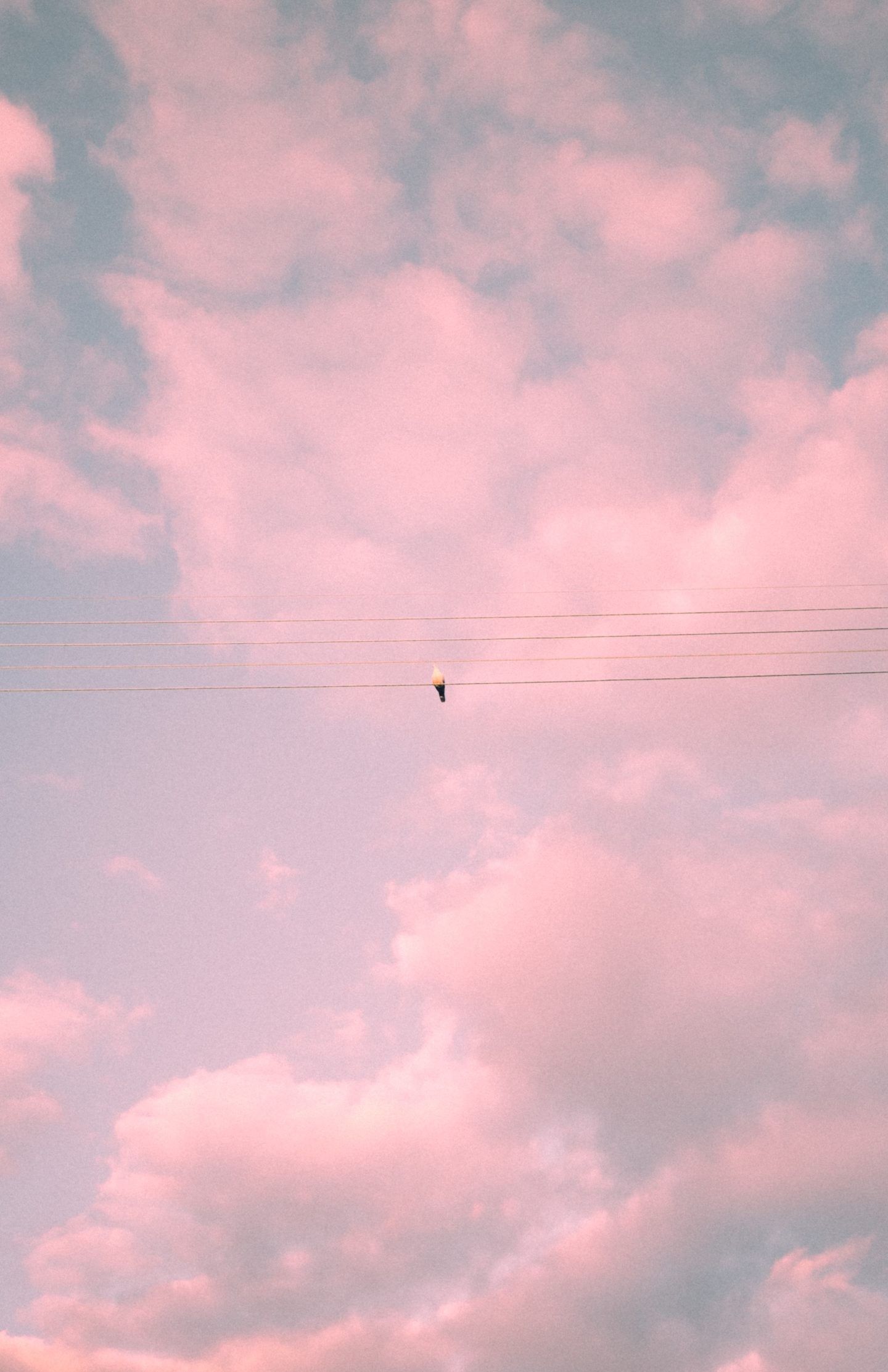 A plane flying over the clouds in pink sky - Pink phone