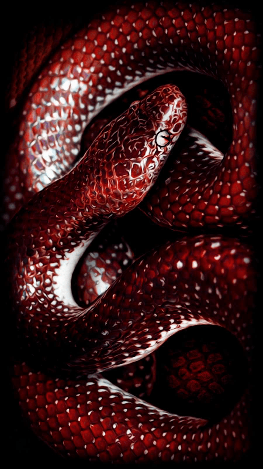 Red snake wallpaper for iPhone with high-resolution 1080x1920 pixel. You can use this wallpaper for your iPhone 5, 6, 7, 8, X, XS, XR backgrounds, Mobile Screensaver, or iPad Lock Screen - Snake