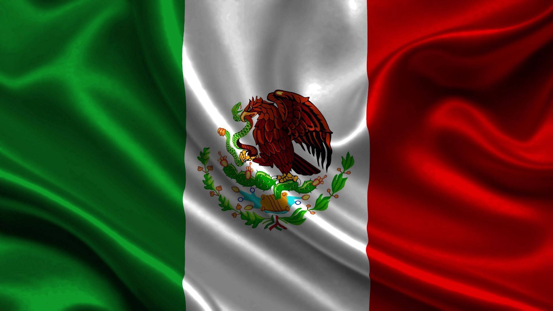 Mexican flag waving in the wind. - Mexico