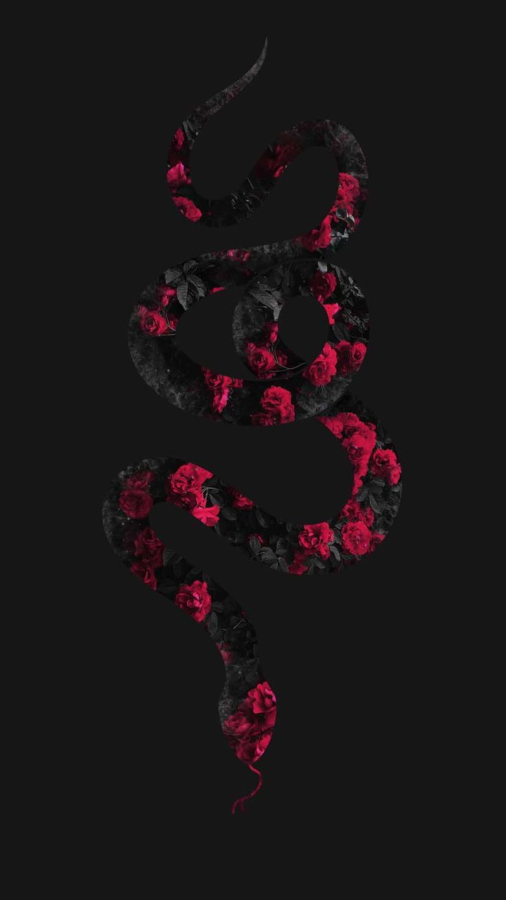 A snake made out of red and black flowers on a black background - Snake