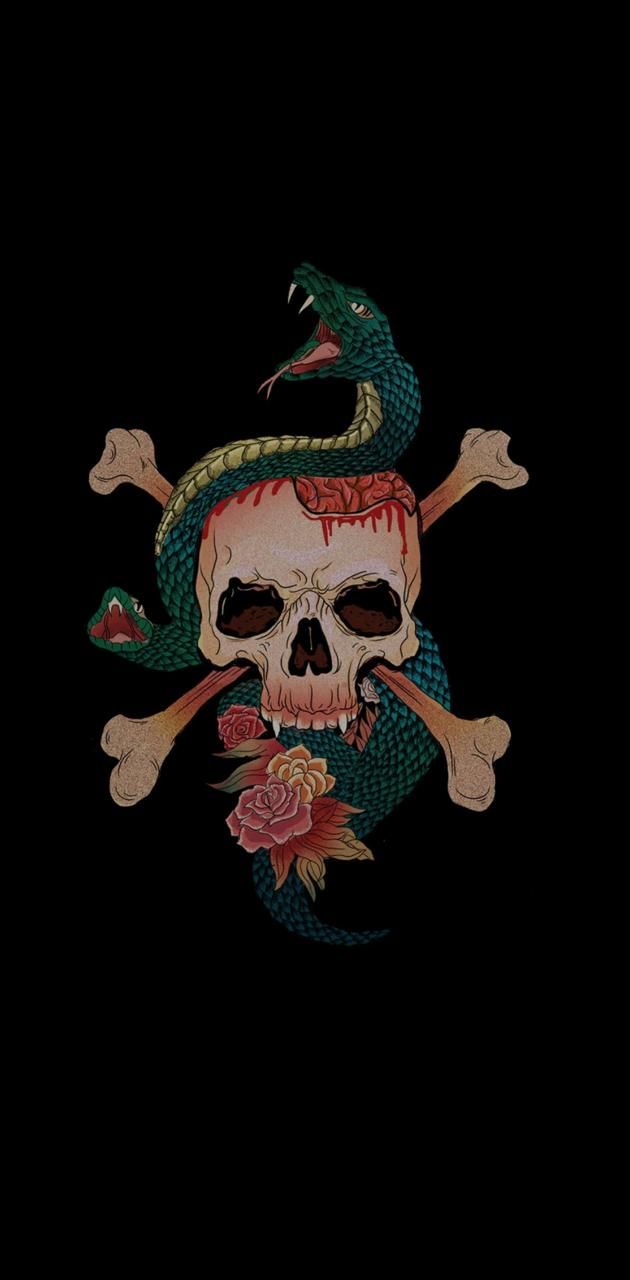 A tattoo of skull and snake on black background - Snake