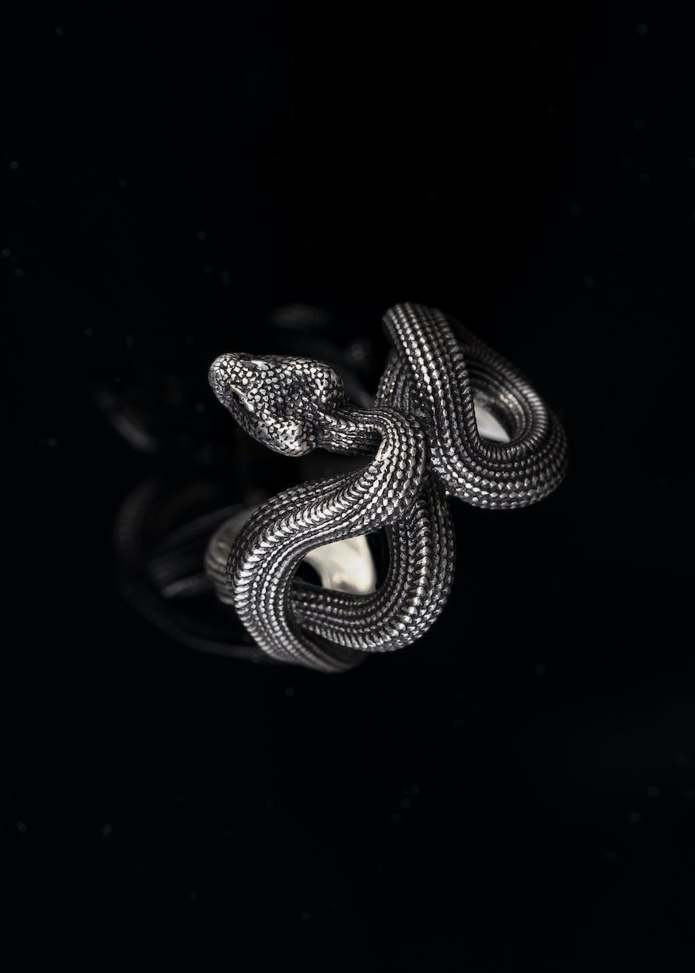A snake ring in silver - Snake