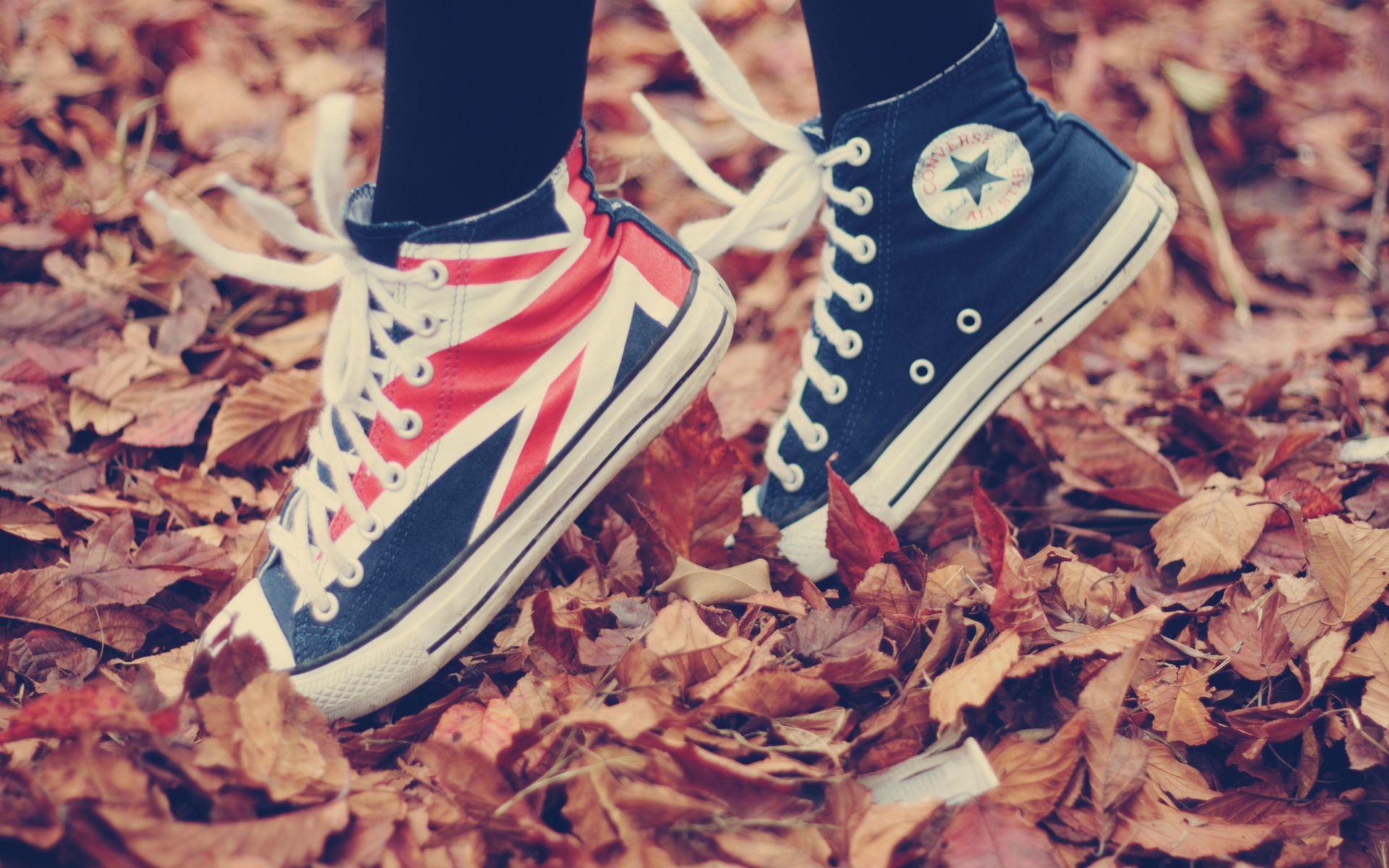 Converse shoes on the autumn leaves - Converse