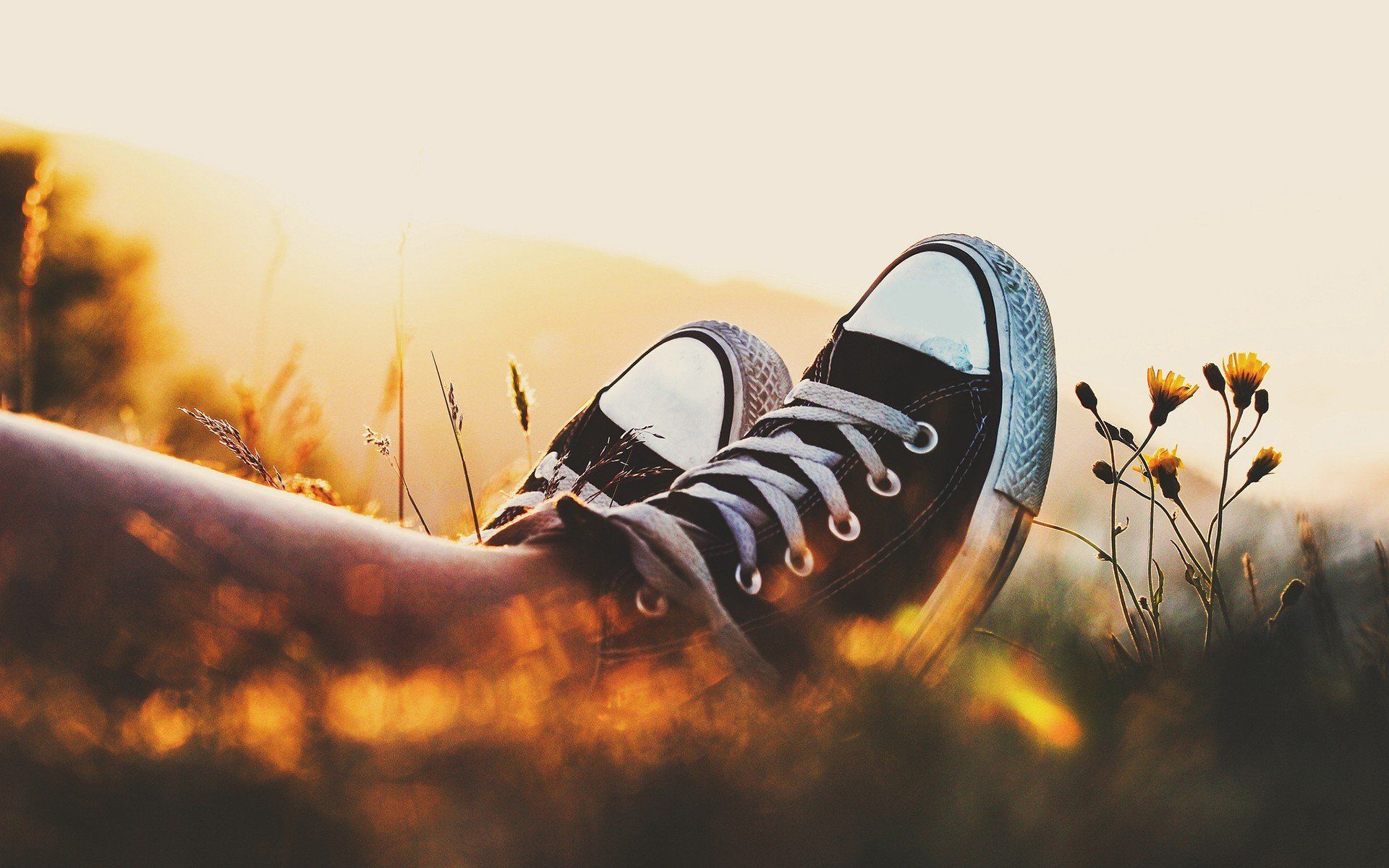 A person wearing converse sneakers is relaxing in a field - Converse